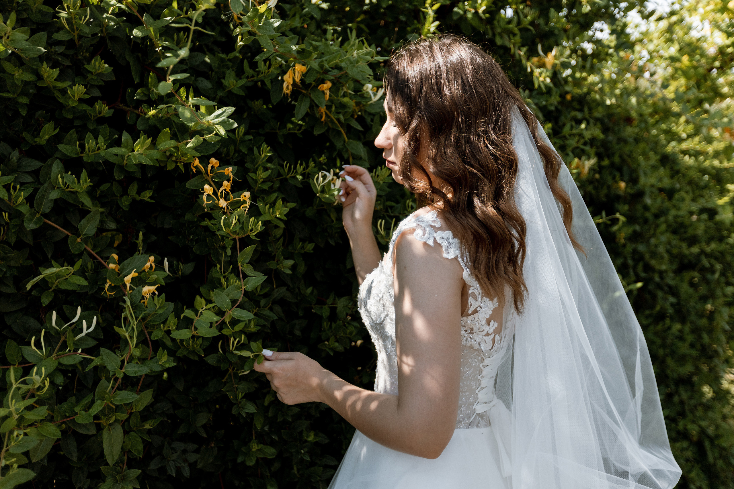Николай и Виктория. Алексеева Татьяна свадебный фотограф Краснодар, Краснодарский край