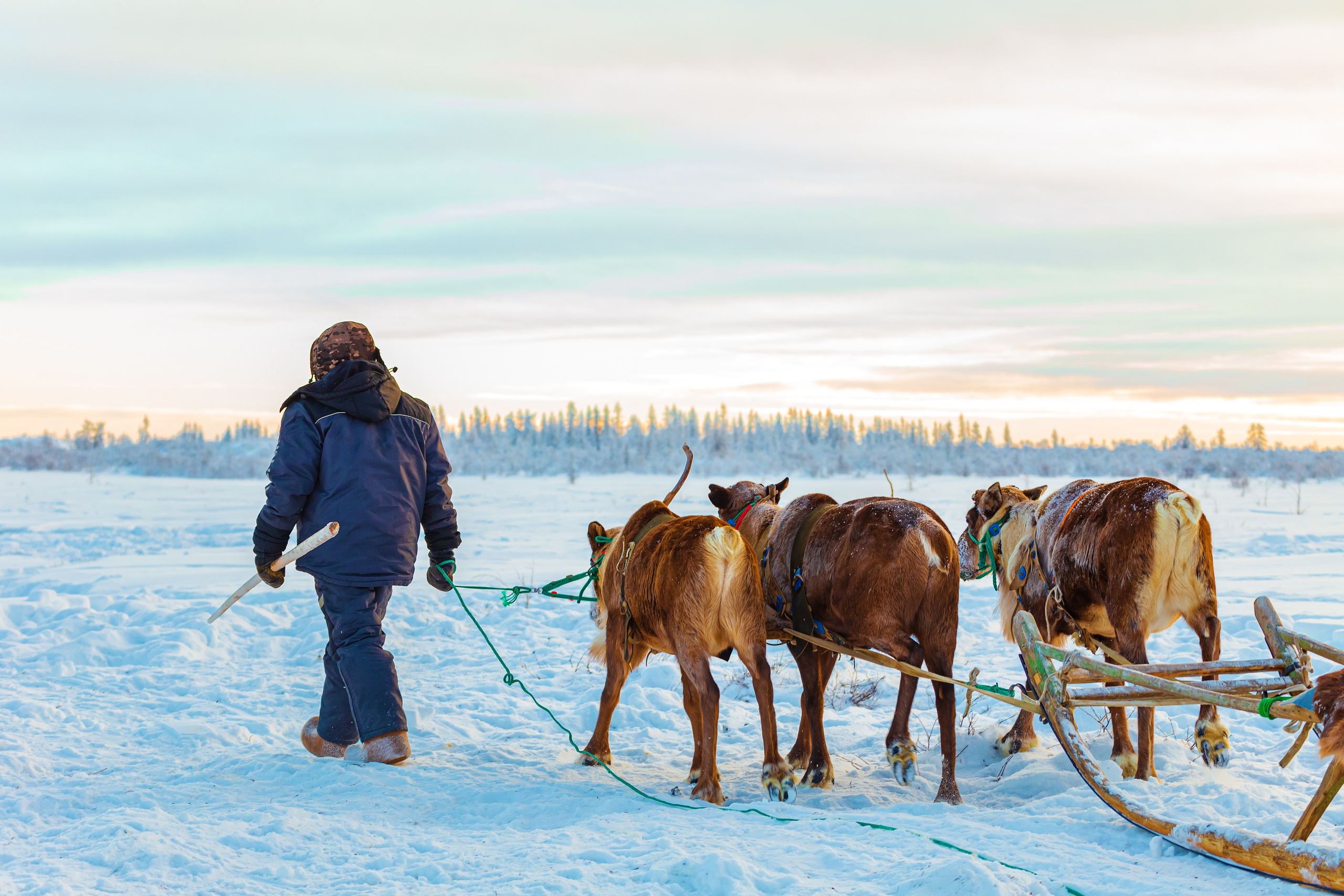 Ненецкий автономный округ. Тревел-фотограф Елизавета Ларионова