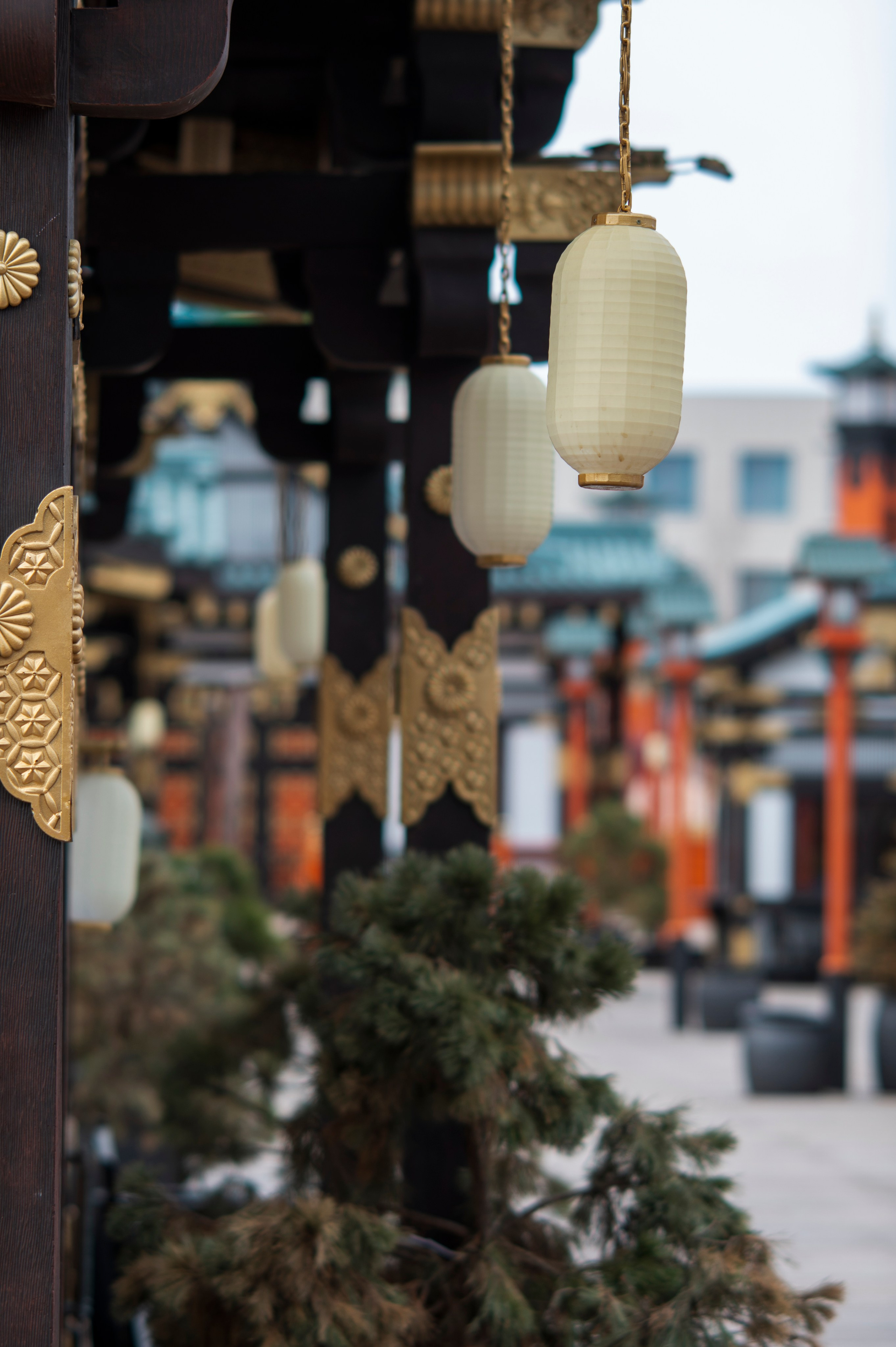 Фотопрогулка апрель 2022. Фотограф Роман Адлер