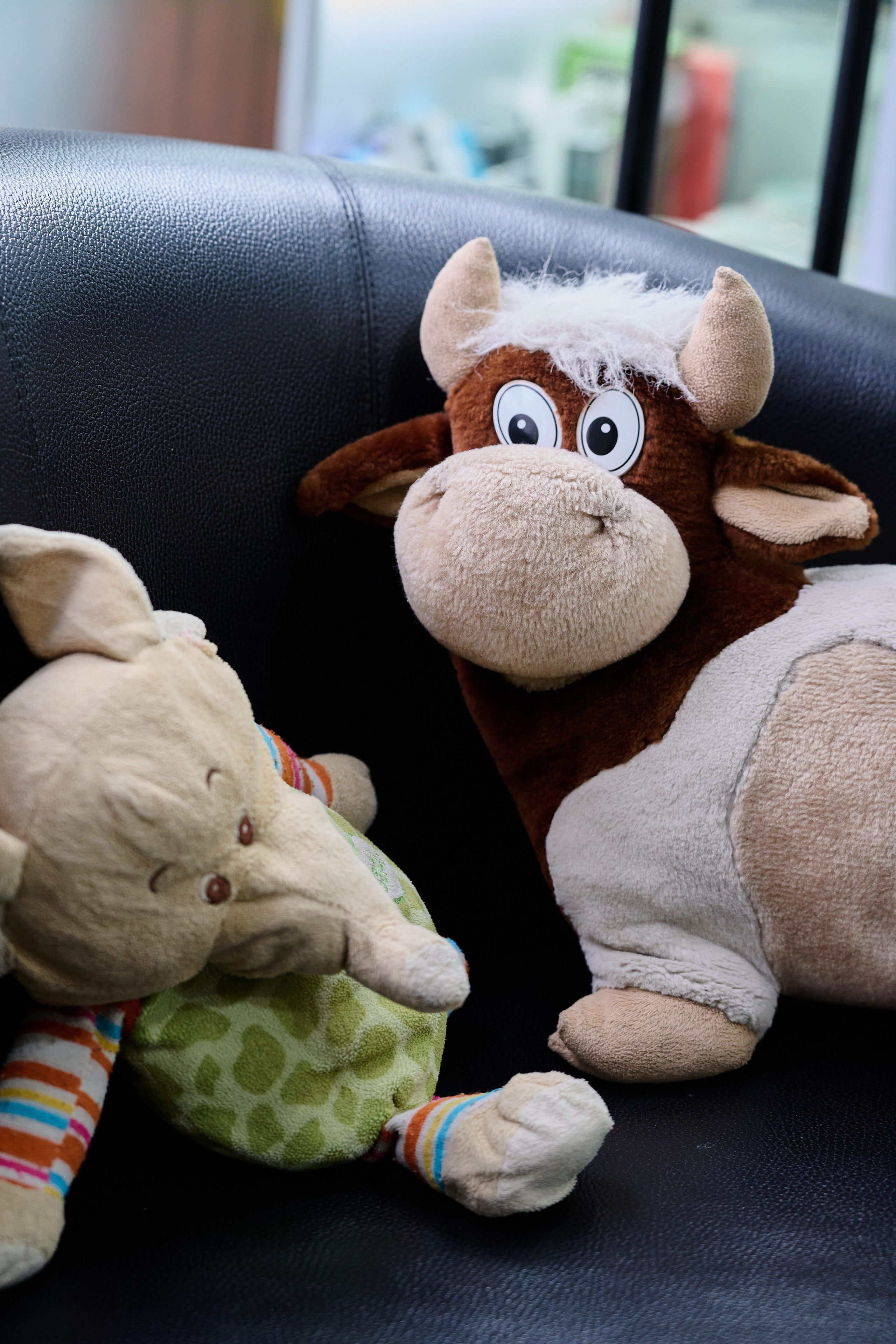 Луганск. Ноябрь 2024. Фотограф Роман Адлер