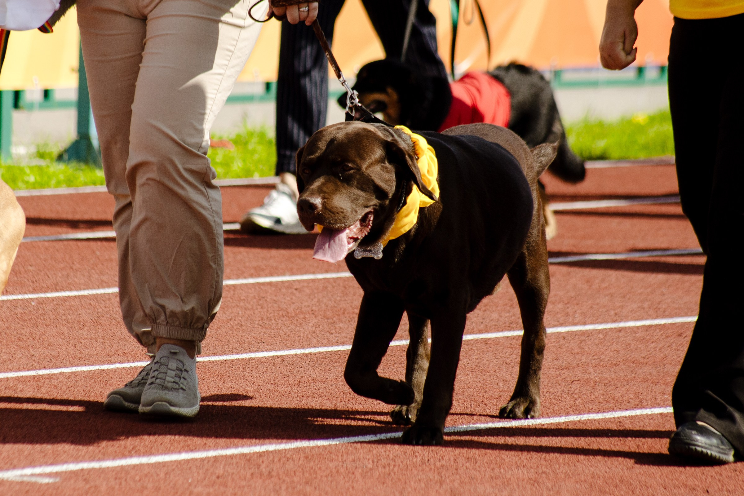 День города Усолье-Сибирское 2024. Фотограф в Иркутске Евгения Айвазова
