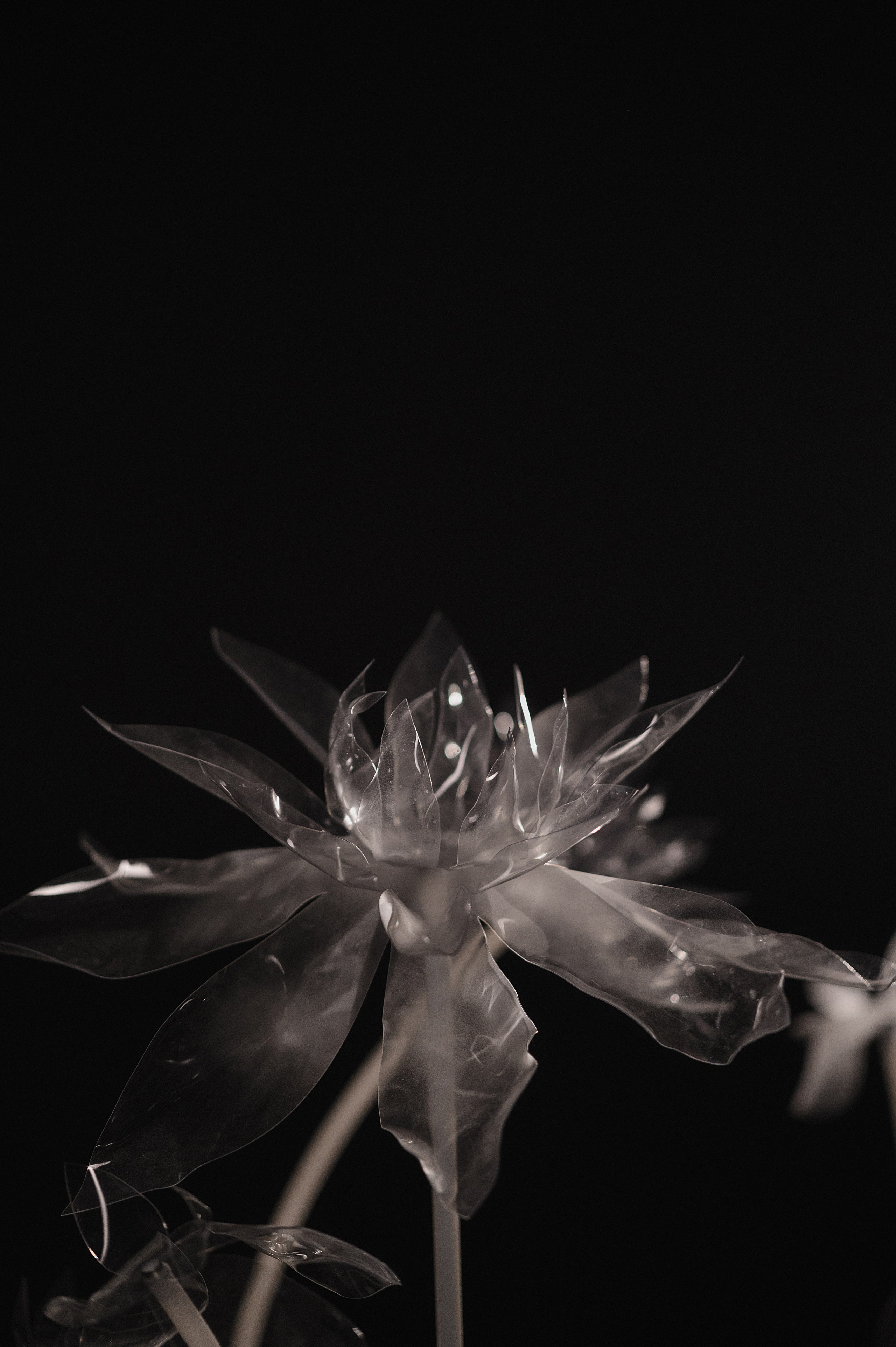 Паша и Ангелина. Свадебный фотограф и видеограф