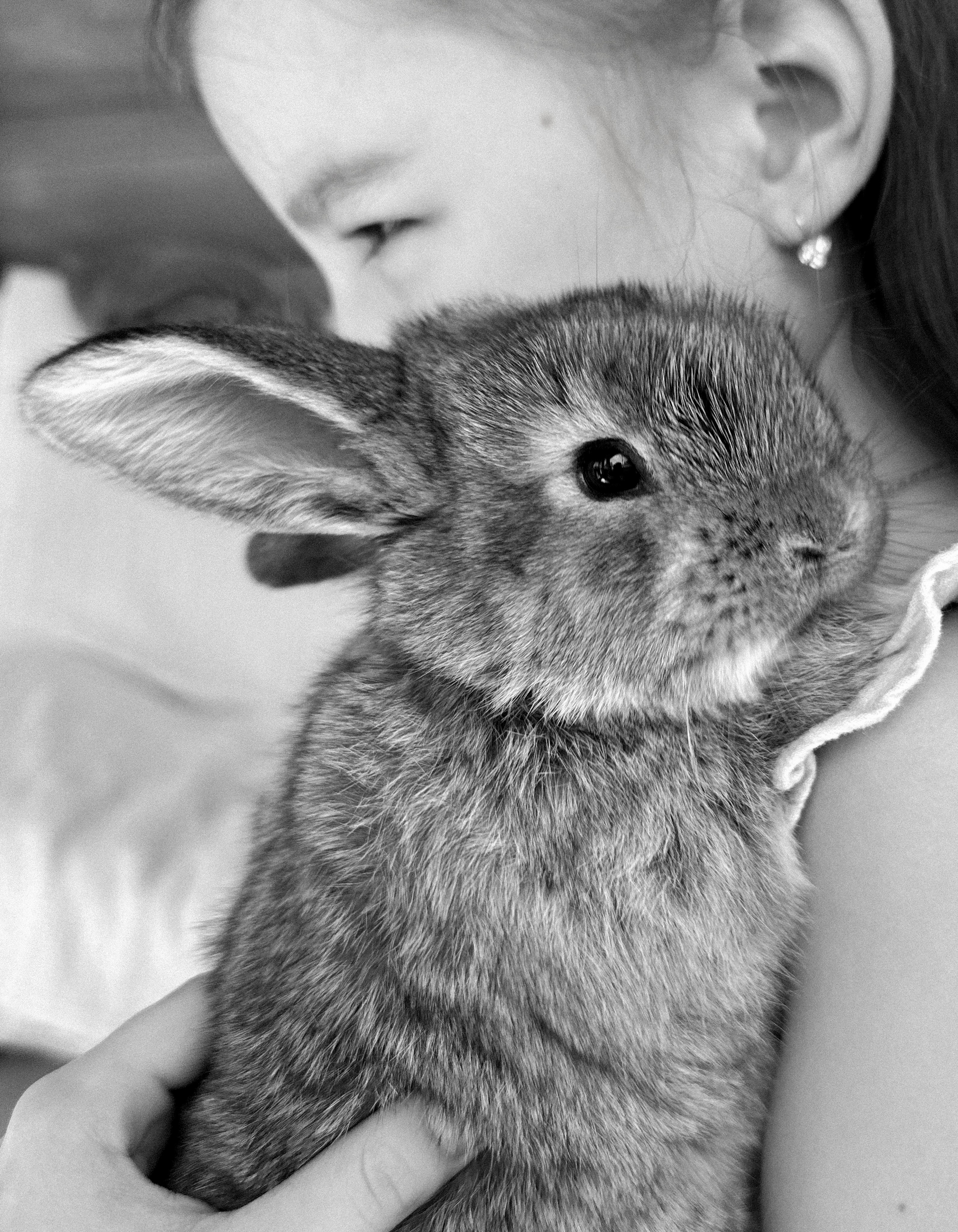 УШАСТАЯ ИСТОРИЯ…. FotoTanya. Раменское/Жуковский/Бронницы