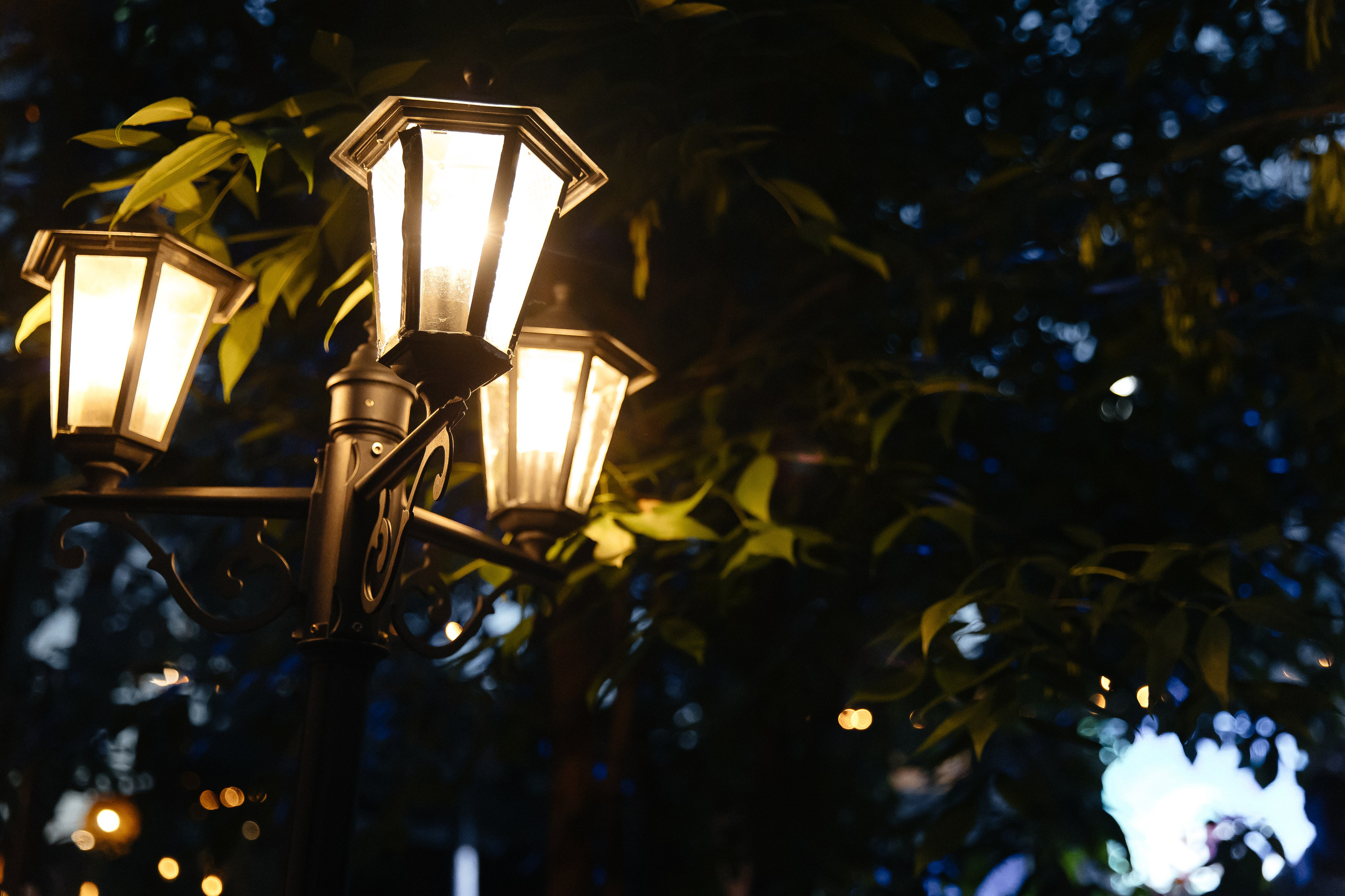 Никита & Оля. Свадебный фотограф Евгений Мирончев