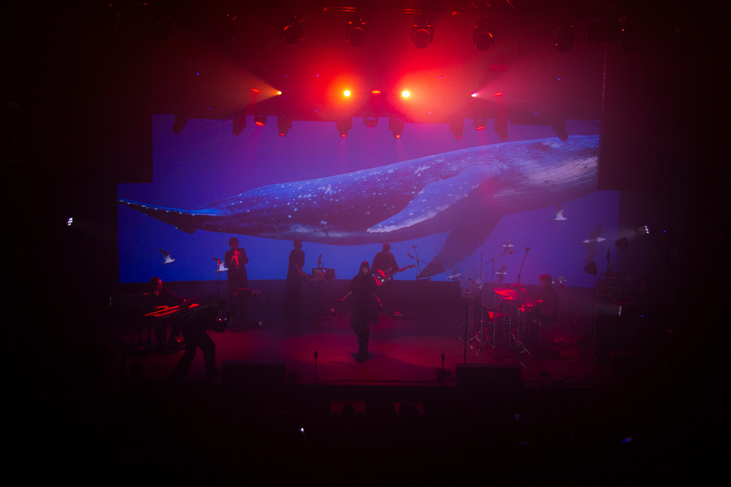 PROJECTS. Ssaammuraii.ph — fashion / street-фотограф