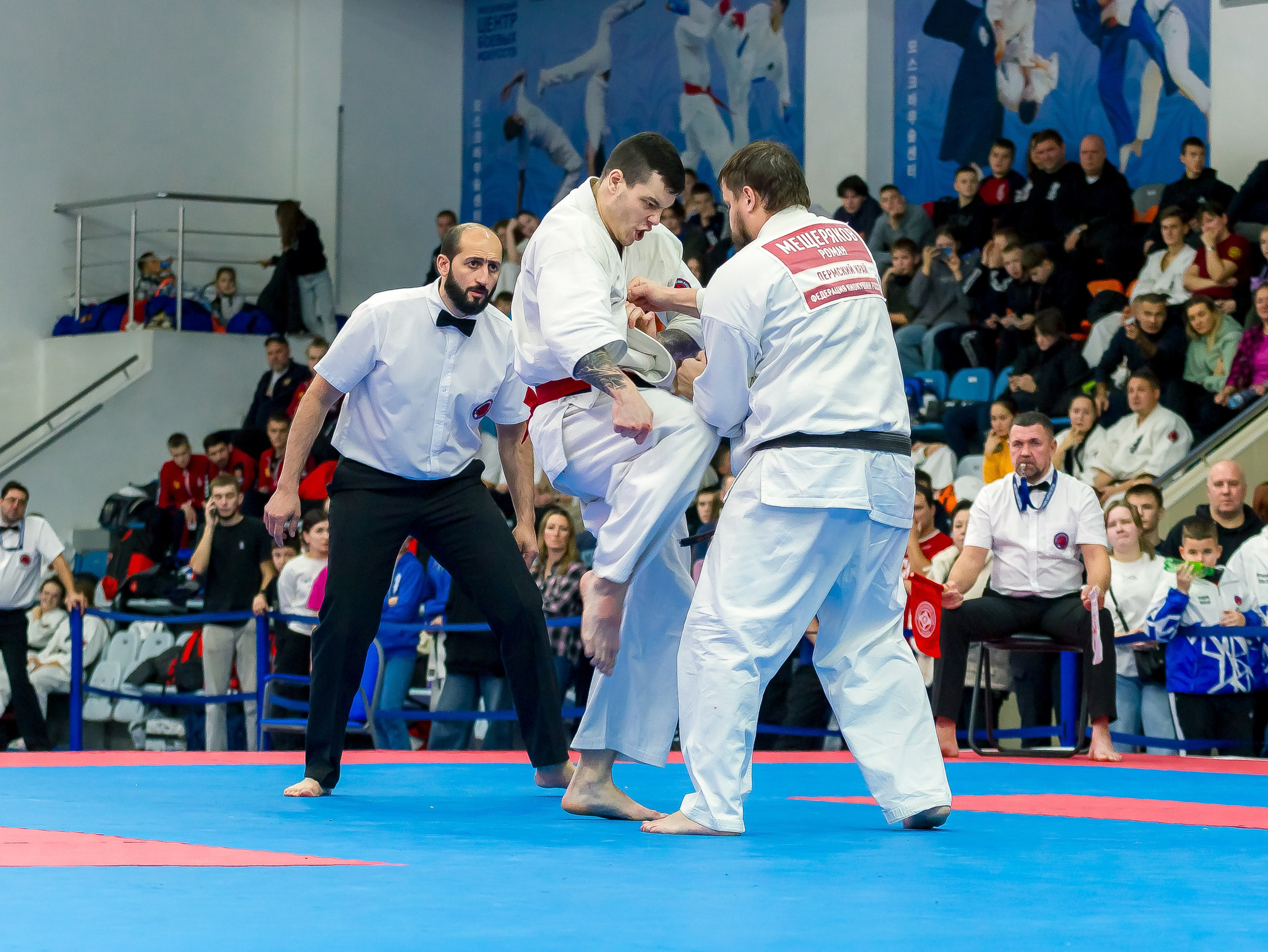 Соревнования по Киокушин памяти С. Увицкого. Репортажная съемка в Москве и области. Анималистика