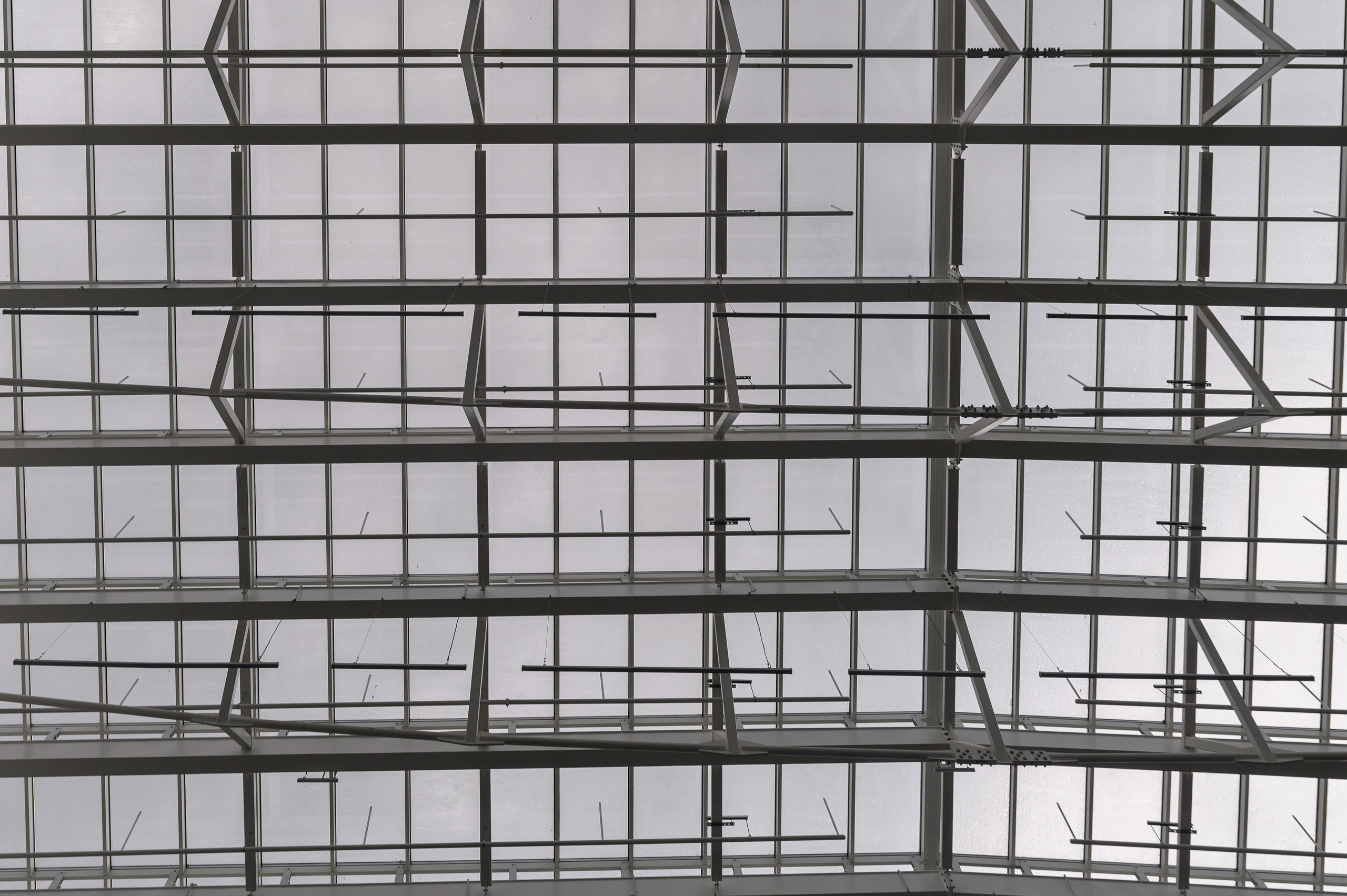 BelExpo. Фотоуслуги, услуги фотографа, фотографирование важных событий