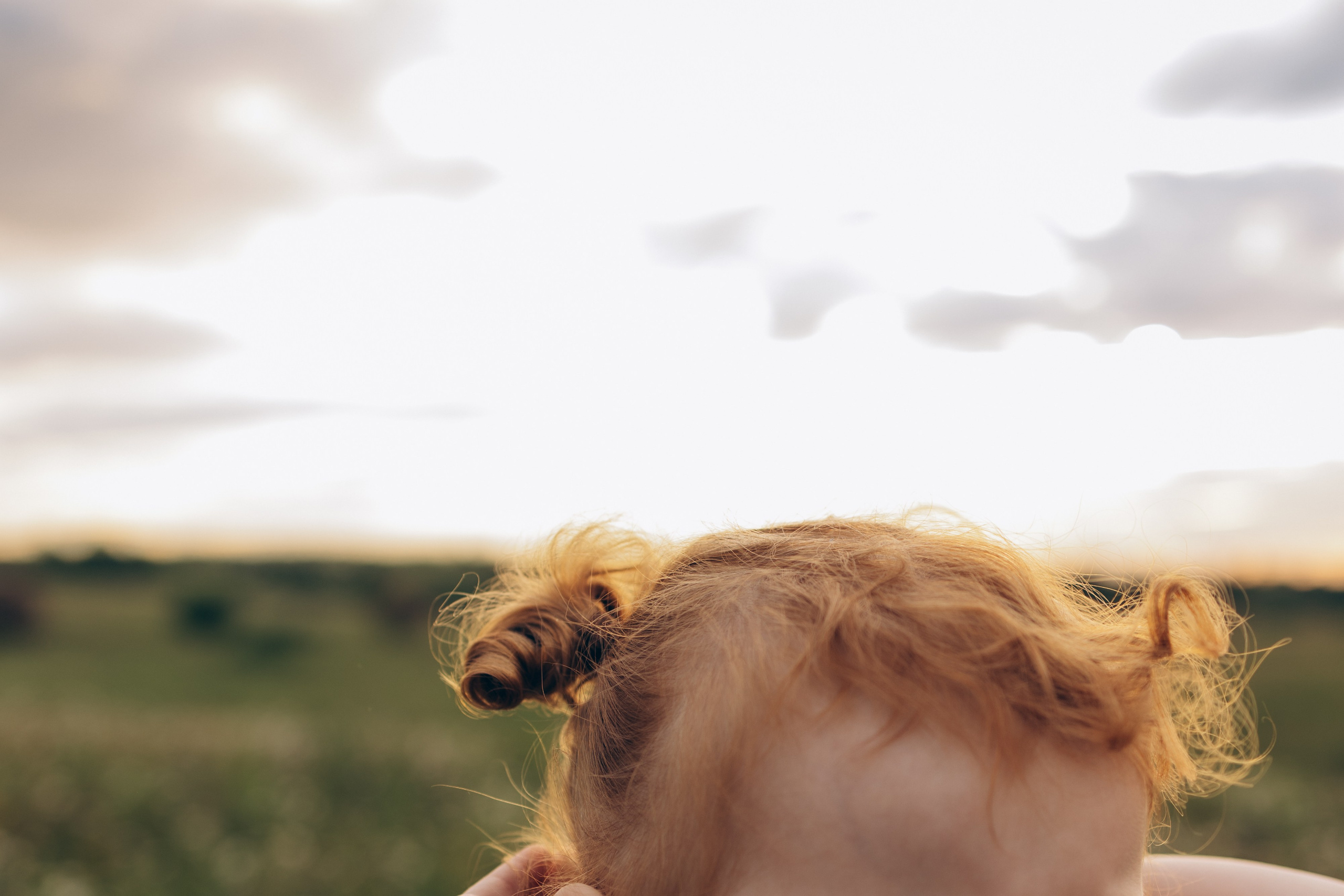 Мира и ромашки