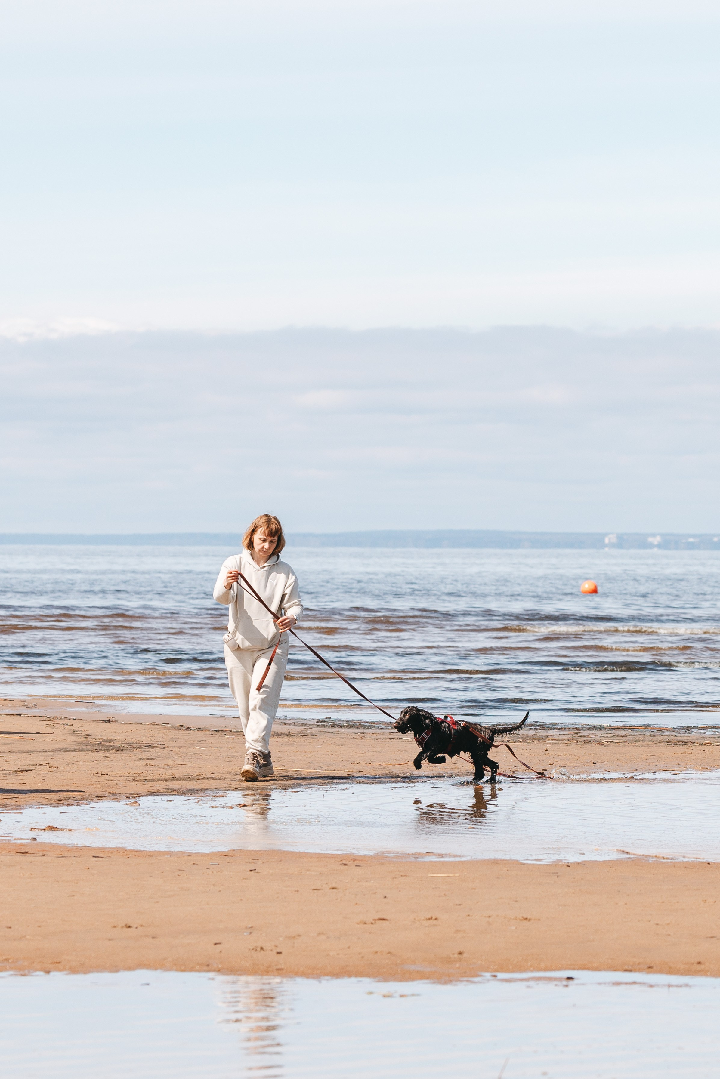 Спанимания. Фотограф анималист Осипчикова Мария