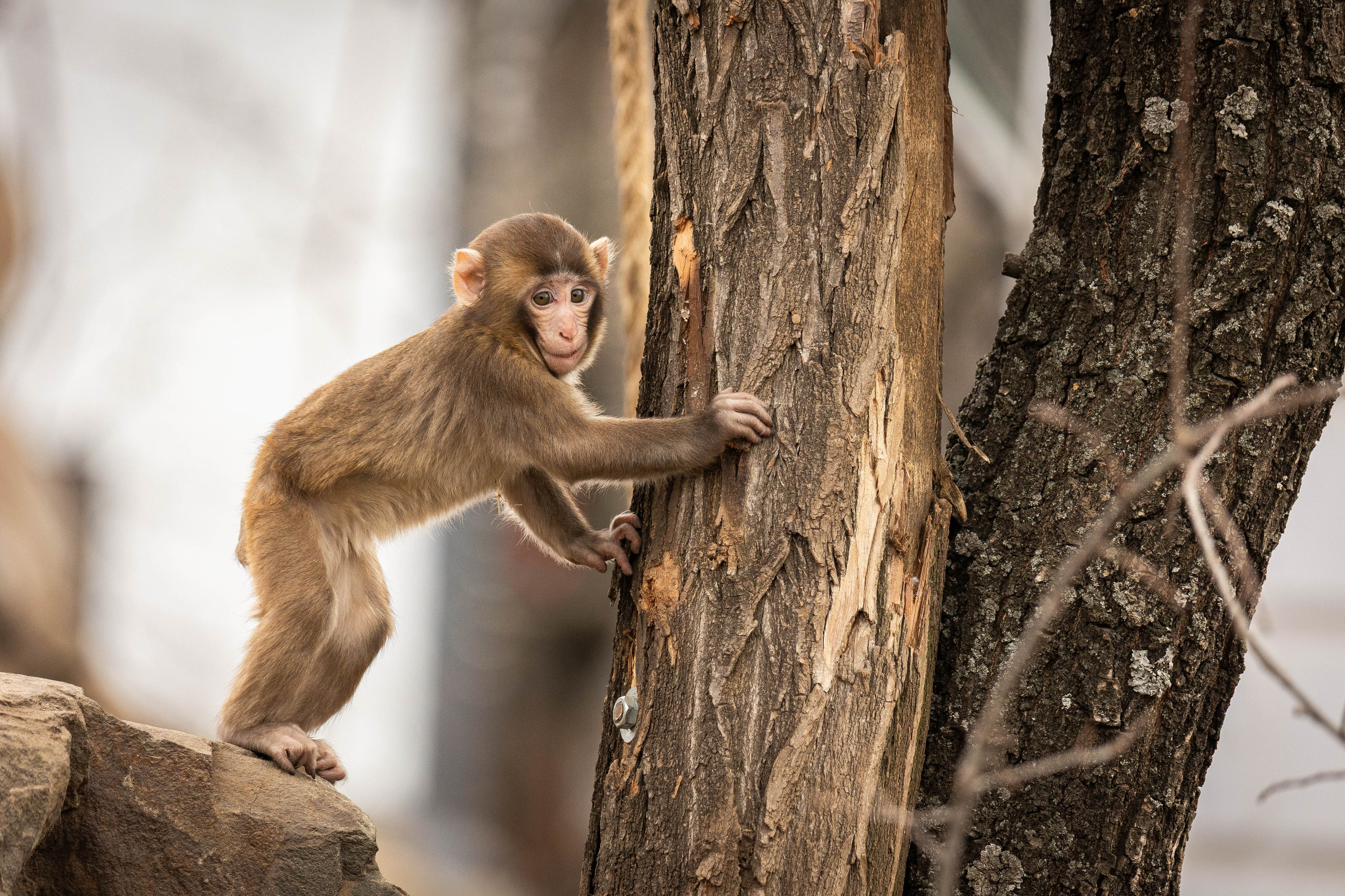 Парк Малинки 2026. Фотограф-АниМалист Анна Абрамова