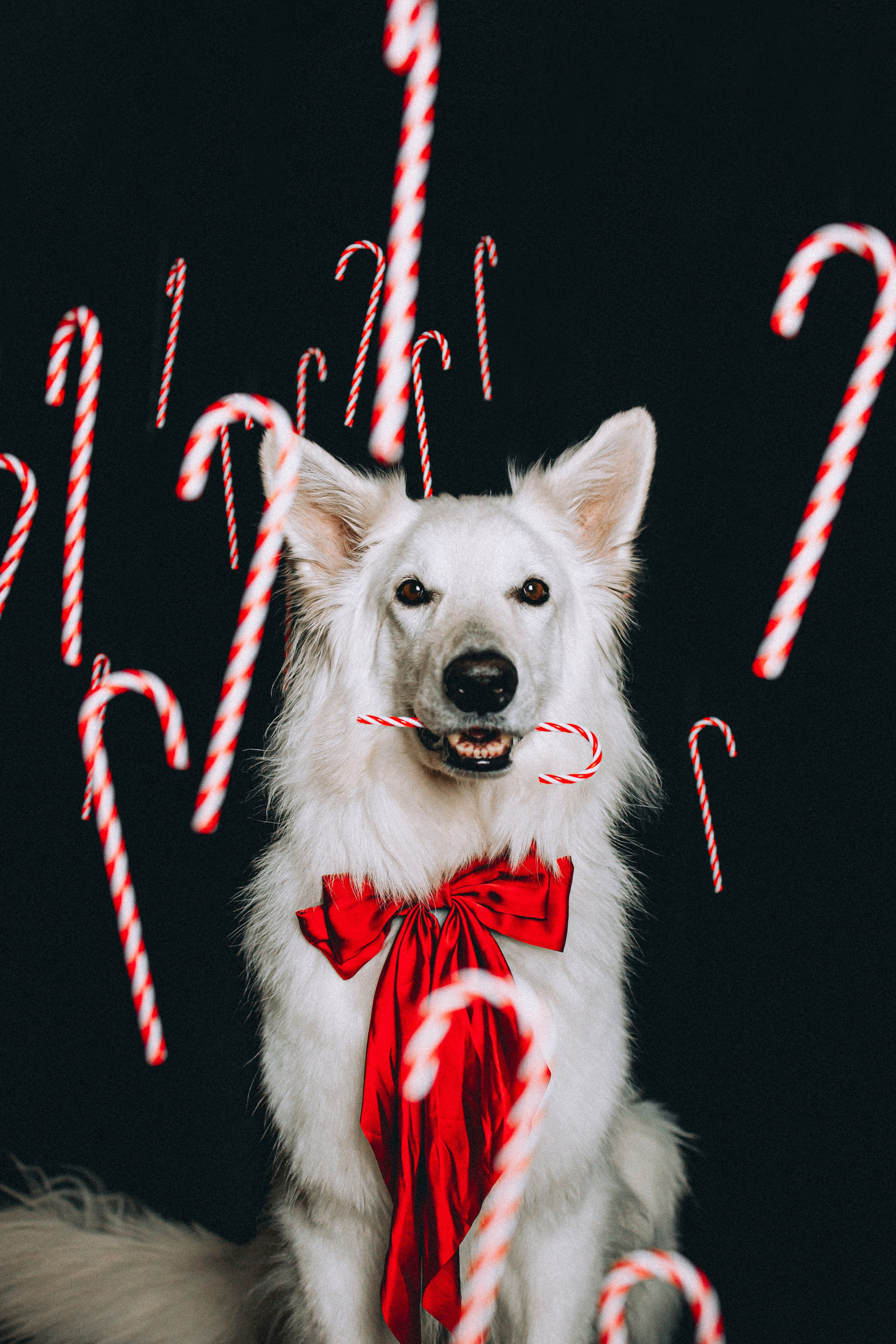 Джек, Бет и Кову