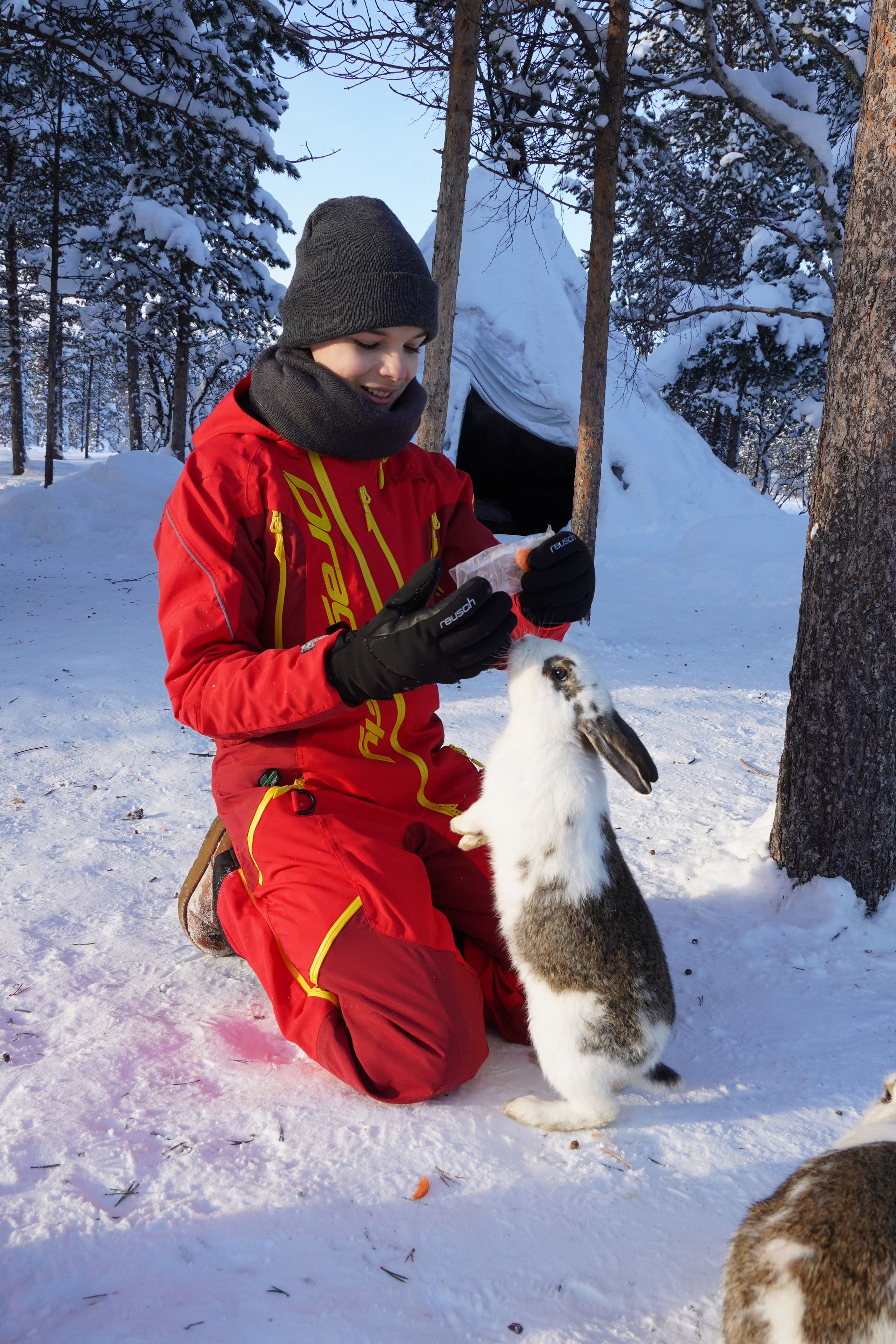 21 02 2021 мурманск северное сияние. Заставка