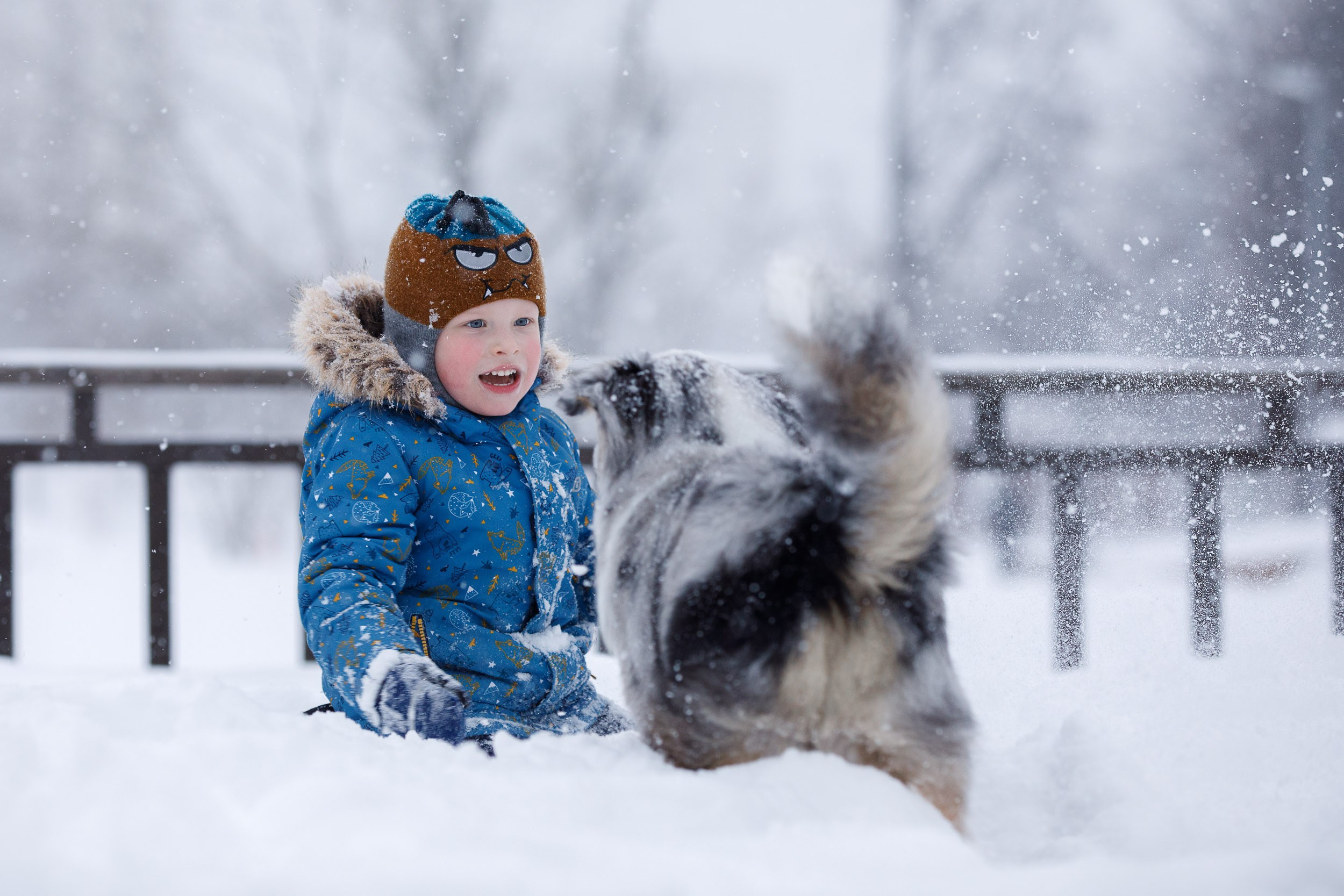 Съёмка ребенка и щенка. Фотограф-анималист в Москве и Московской области Татьяна Фролова