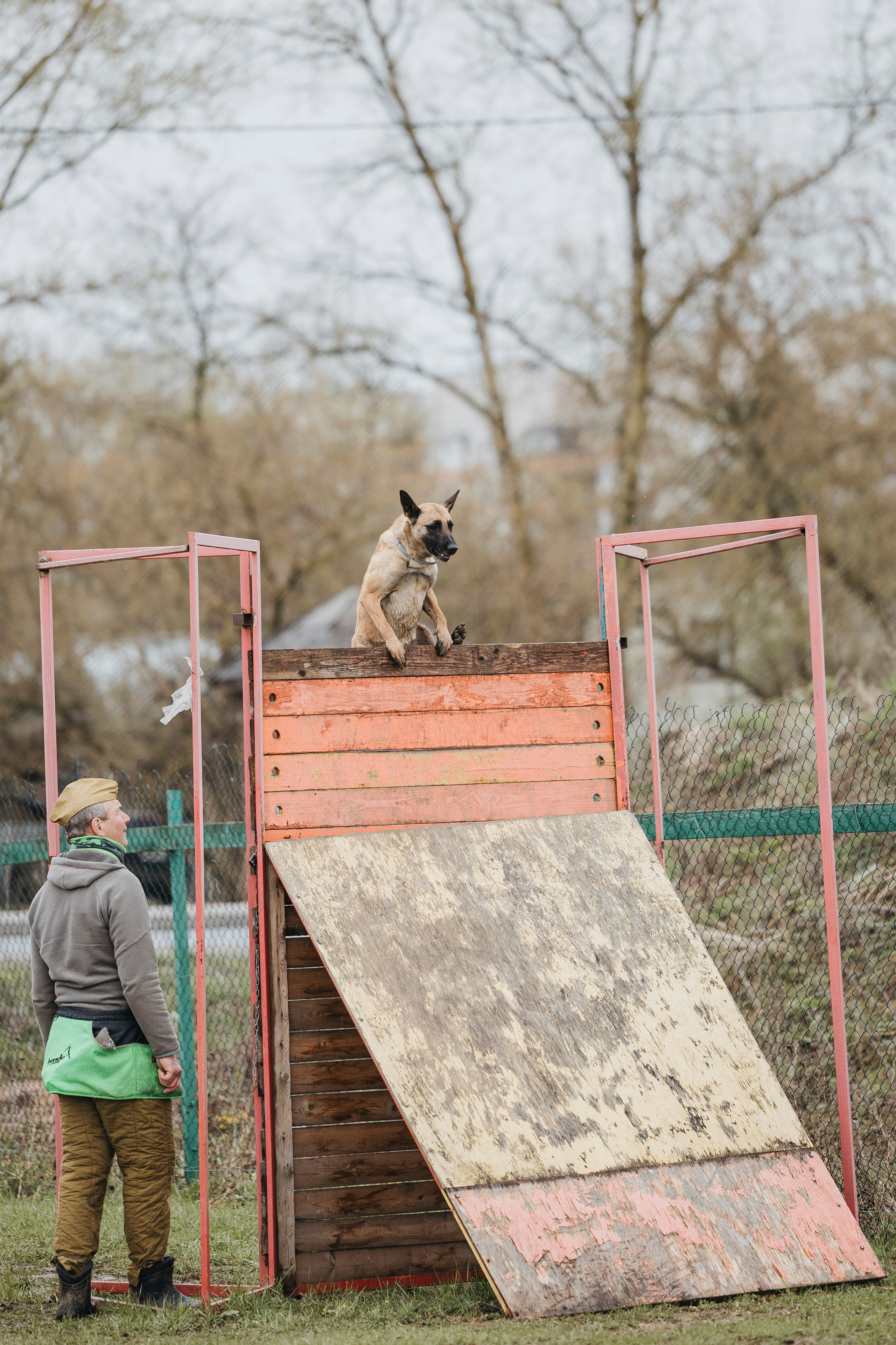 09.05.25 Вологда соревнования. Фотограф-анималист Анна Маринич