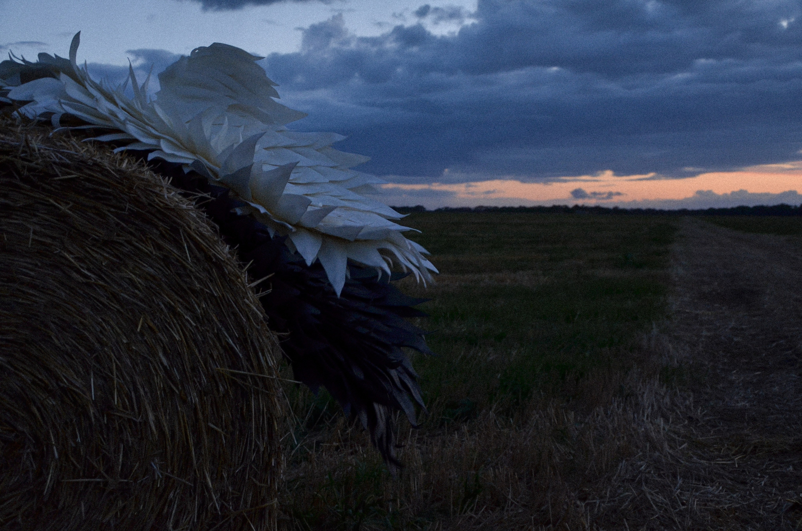 Белое и черное