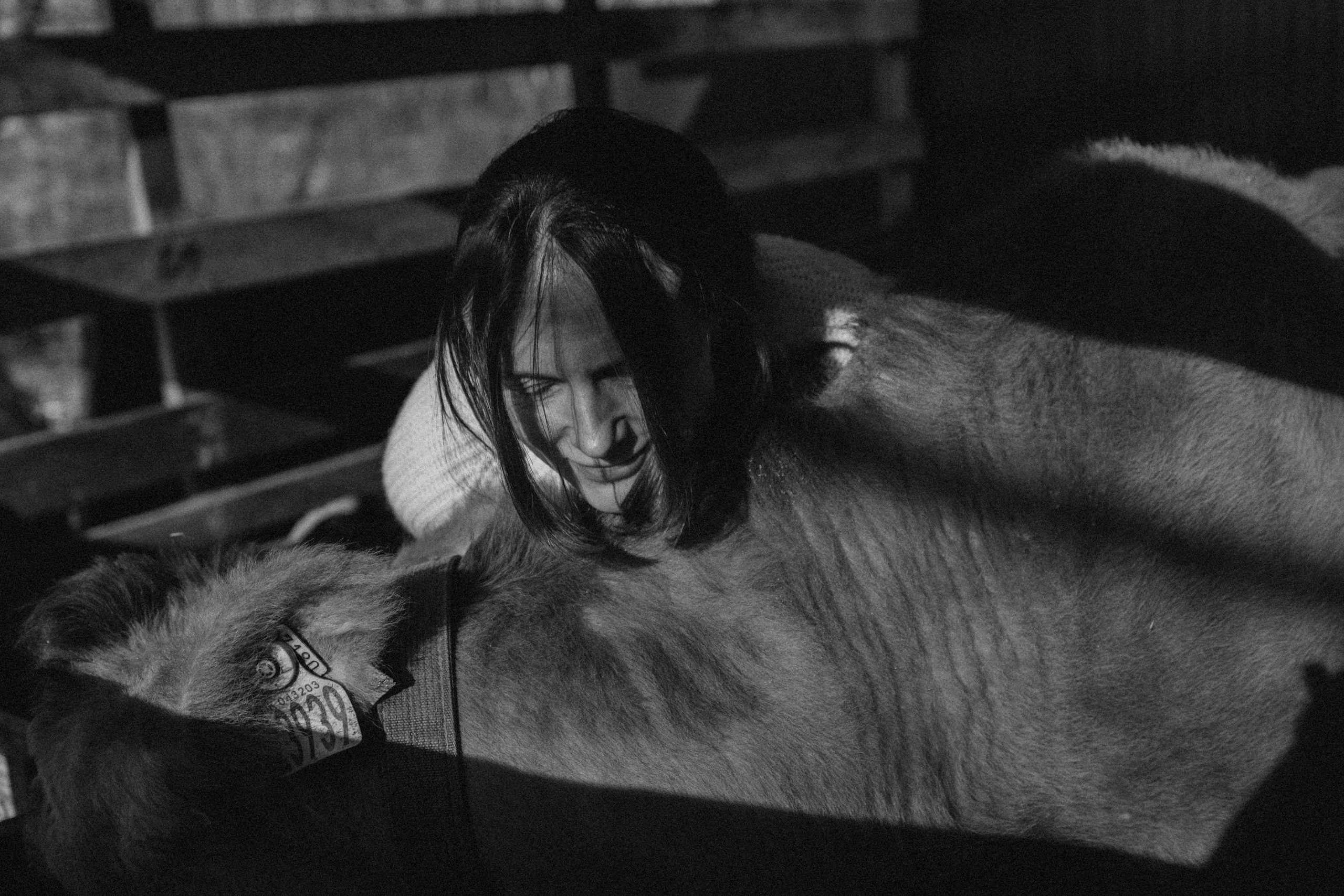 Маша, бигль Вера и её ферма. Семейный фотограф в Москве Алёна Чача