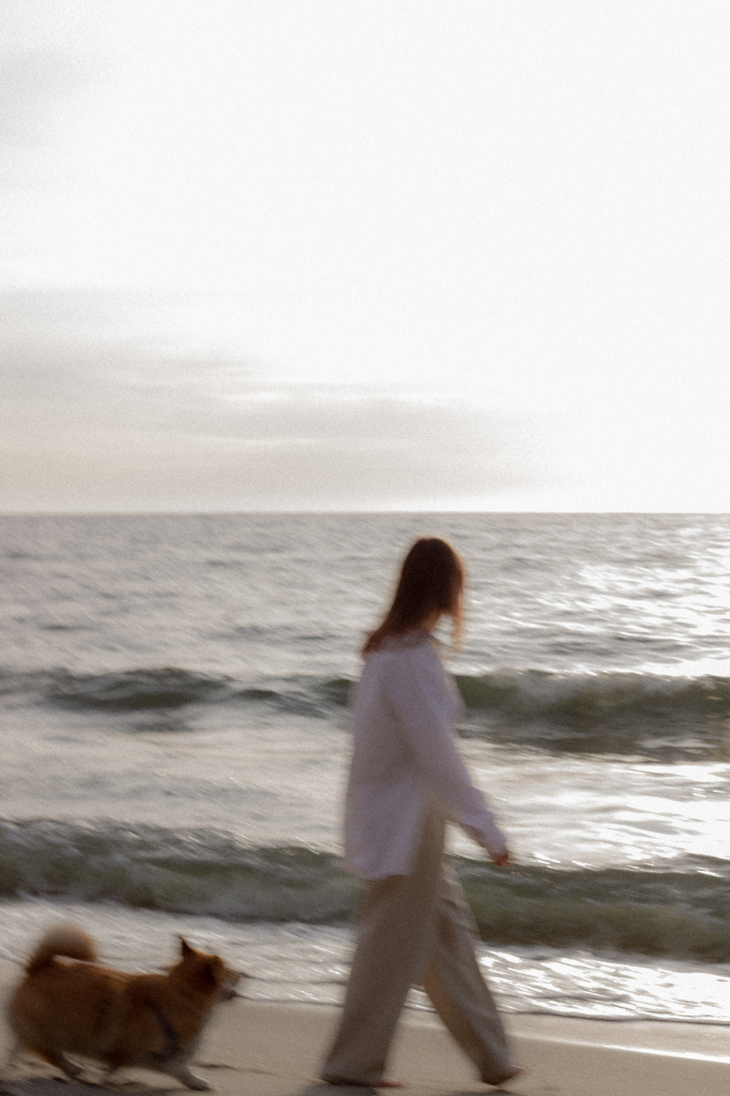 Фотосессия с собакой в Калининграде. Портретный фотограф в Калининграде Рита Холодова