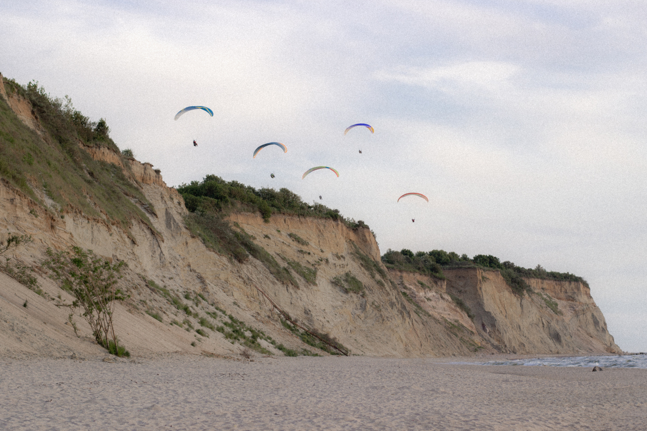 Фотосессия с собакой в Калининграде. Портретный фотограф в Калининграде Рита Холодова