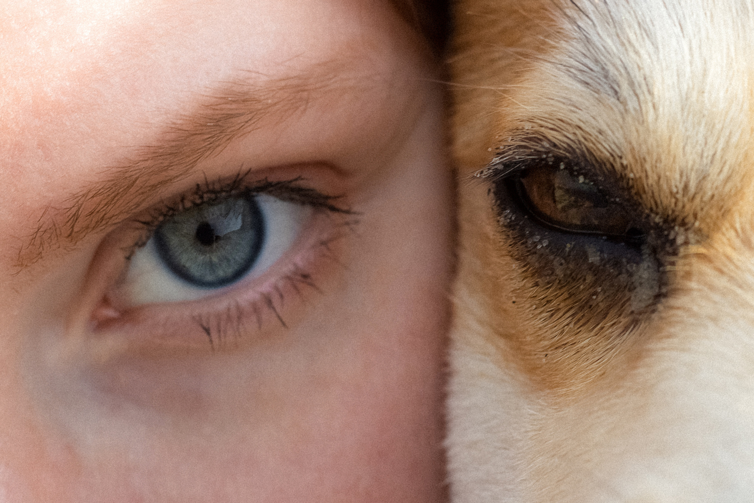 Фотосессия с собакой в Калининграде. Портретный фотограф в Калининграде Рита Холодова