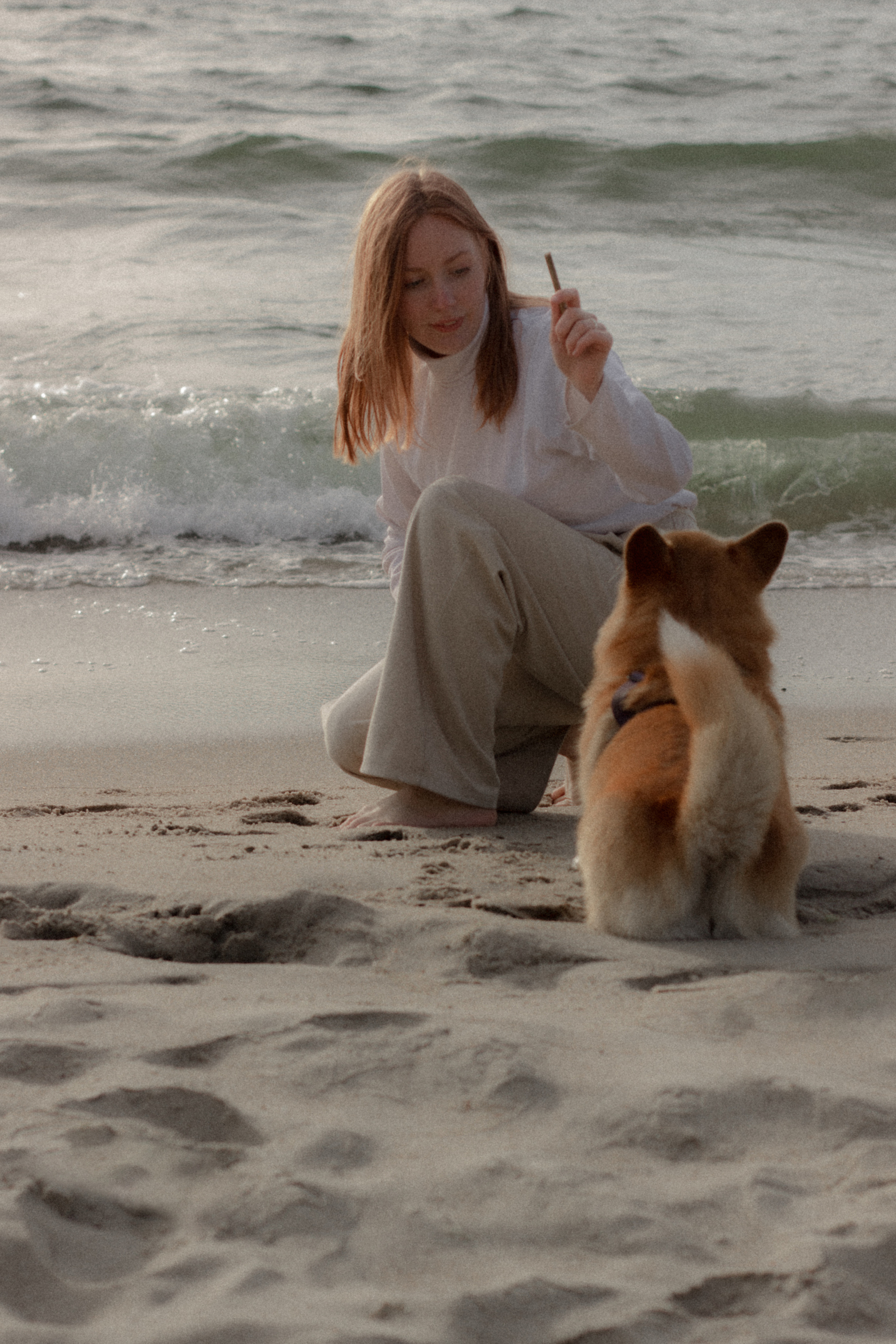 Фотосессия с собакой в Калининграде. Портретный фотограф в Калининграде Рита Холодова