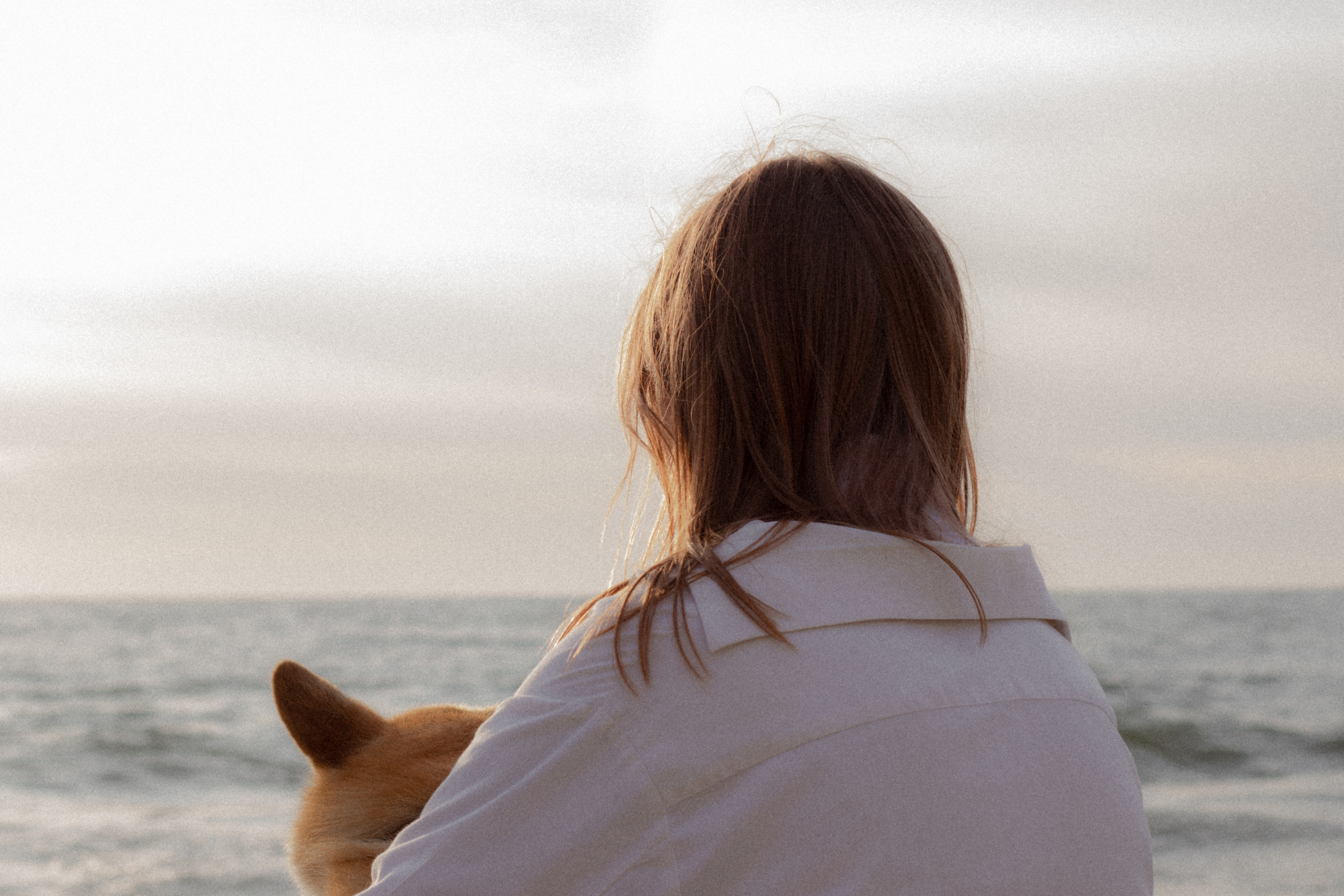 Фотосессия с собакой в Калининграде. Портретный фотограф в Калининграде Рита Холодова