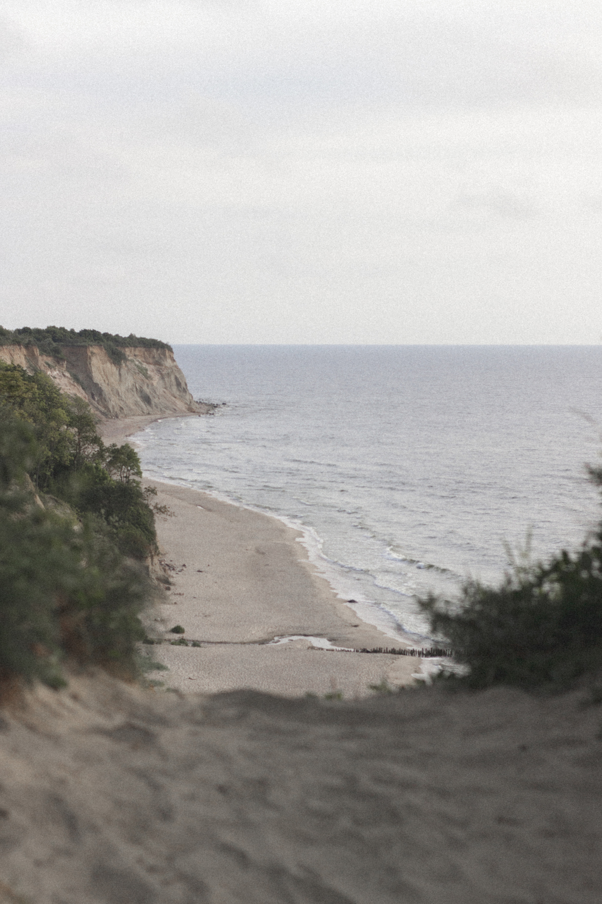 Фотосессия с собакой в Калининграде. Портретный фотограф в Калининграде Рита Холодова