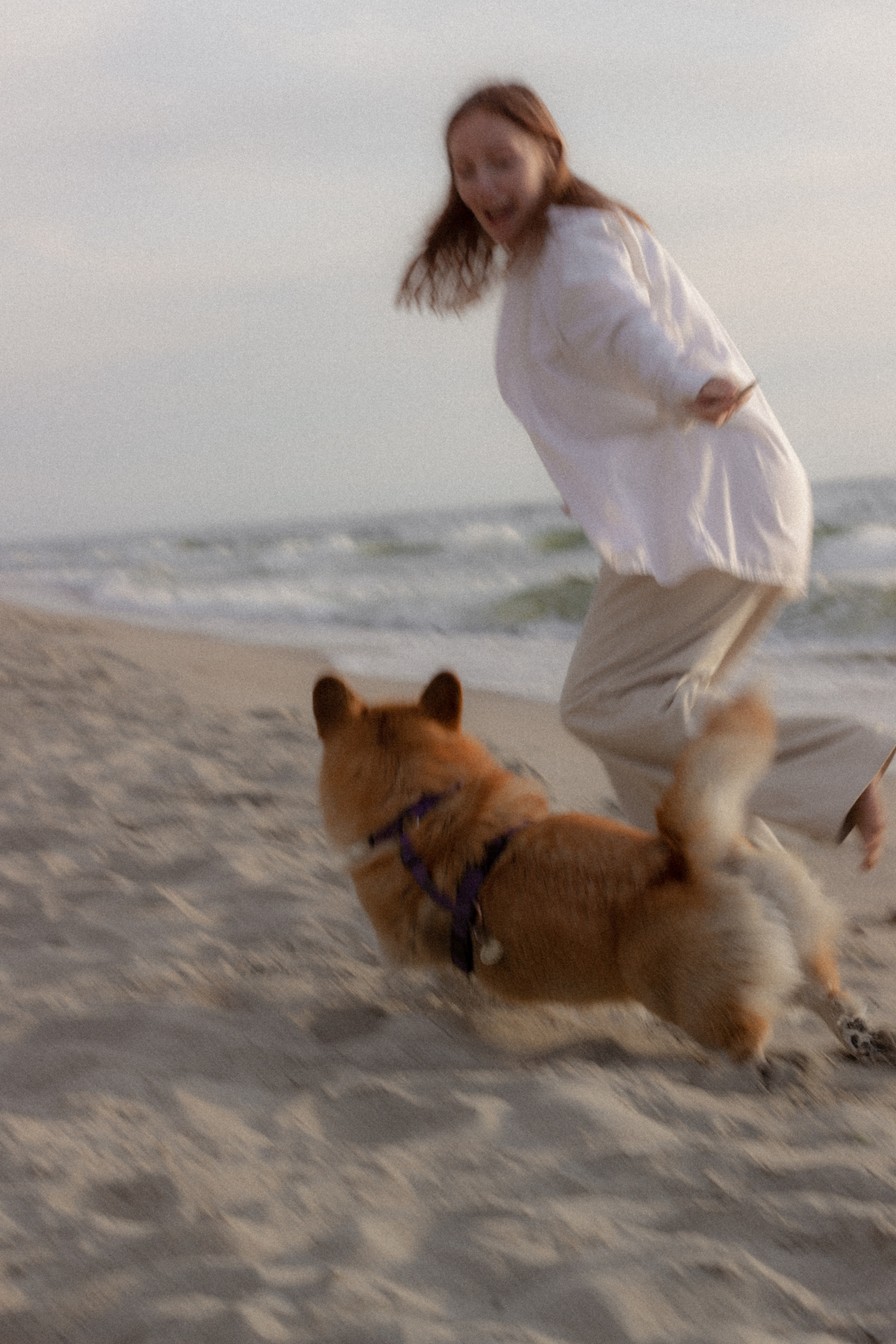 Фотосессия с собакой в Калининграде. Портретный фотограф в Калининграде Рита Холодова
