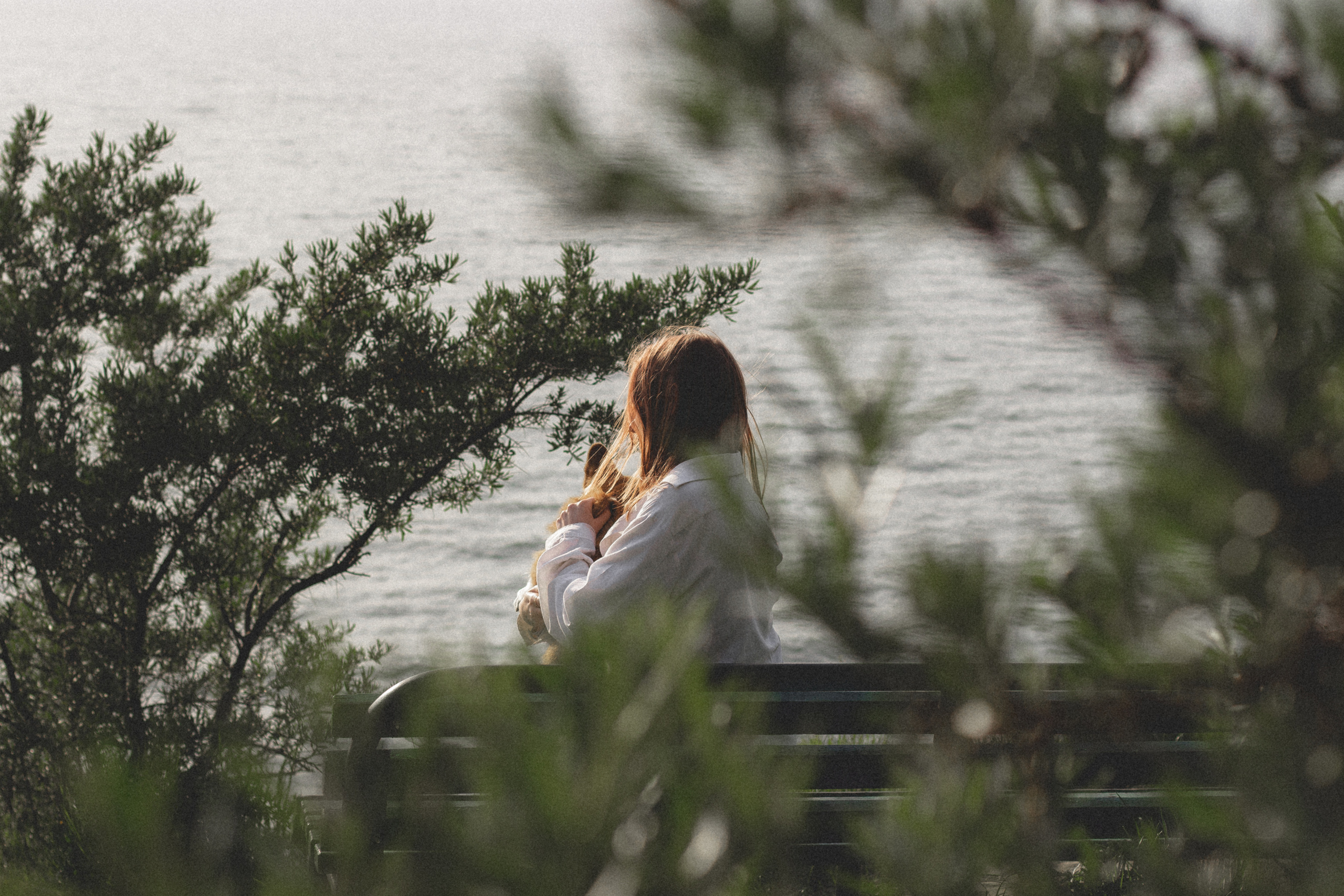 Фотосессия с собакой в Калининграде. Портретный фотограф в Калининграде Рита Холодова