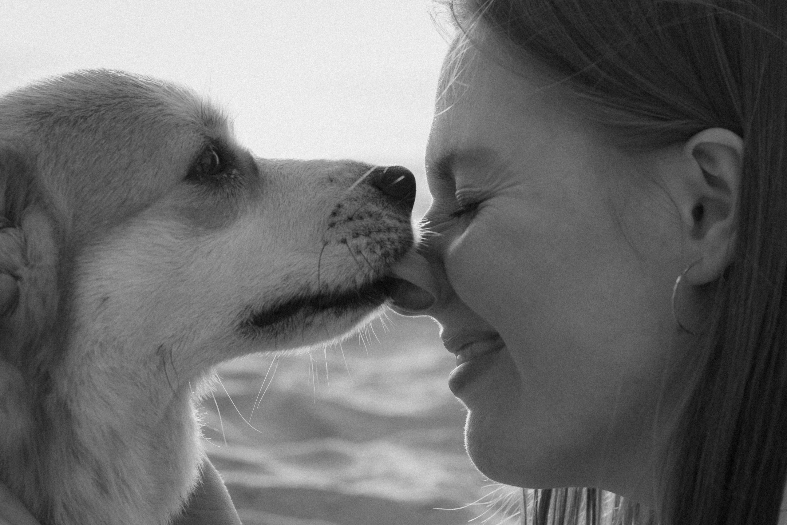 Фотосессия с собакой в Калининграде. Портретный фотограф в Калининграде Рита Холодова