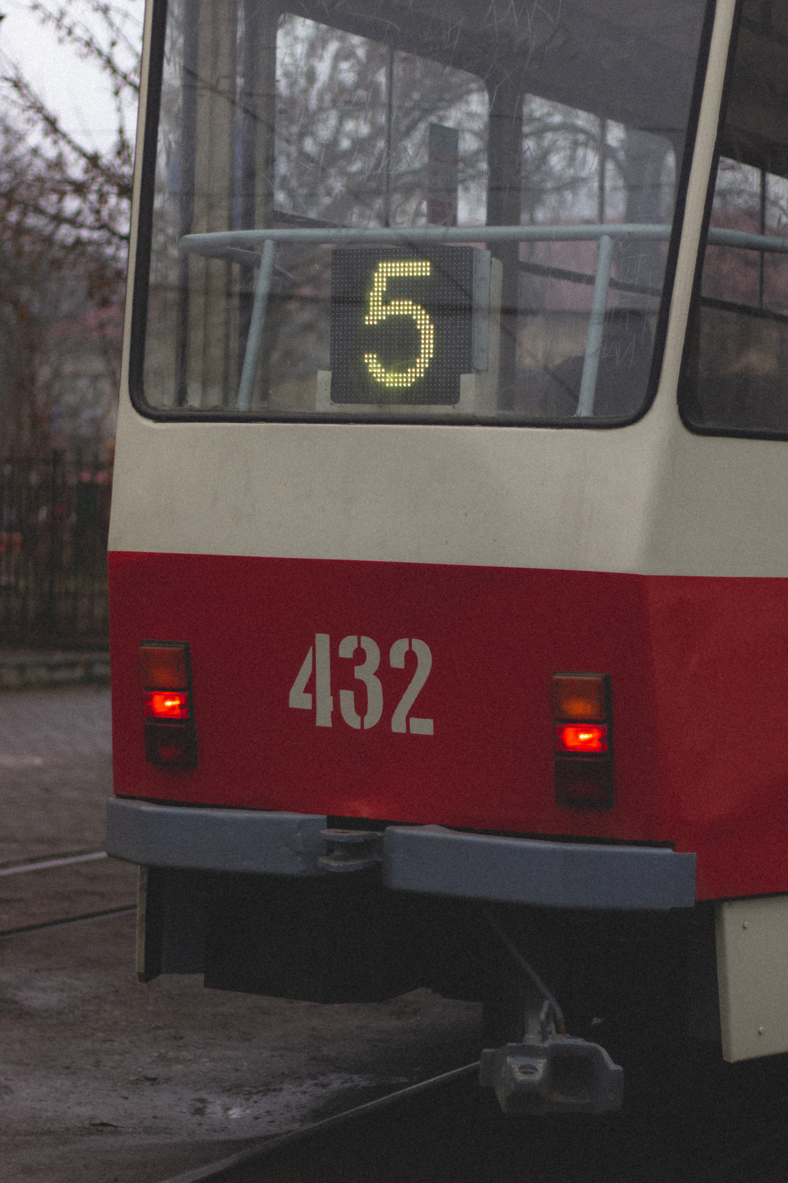Амалиенау Калининград. Портретный фотограф в Калининграде Рита Холодова