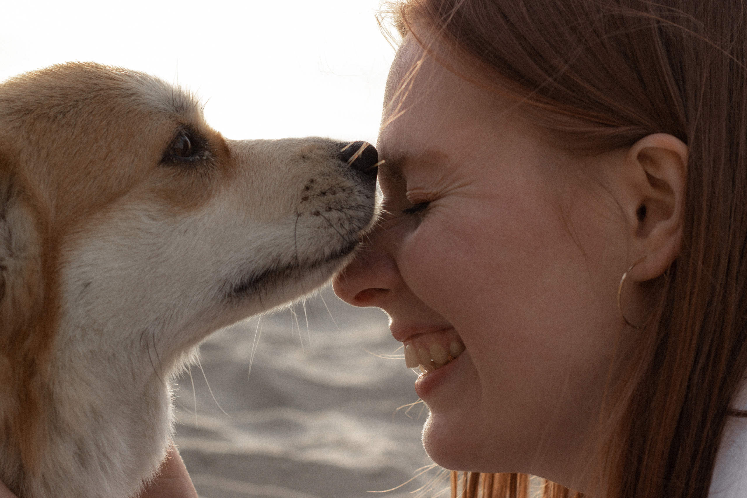 Фотосессия с собакой в Калининграде. Портретный фотограф в Калининграде Рита Холодова
