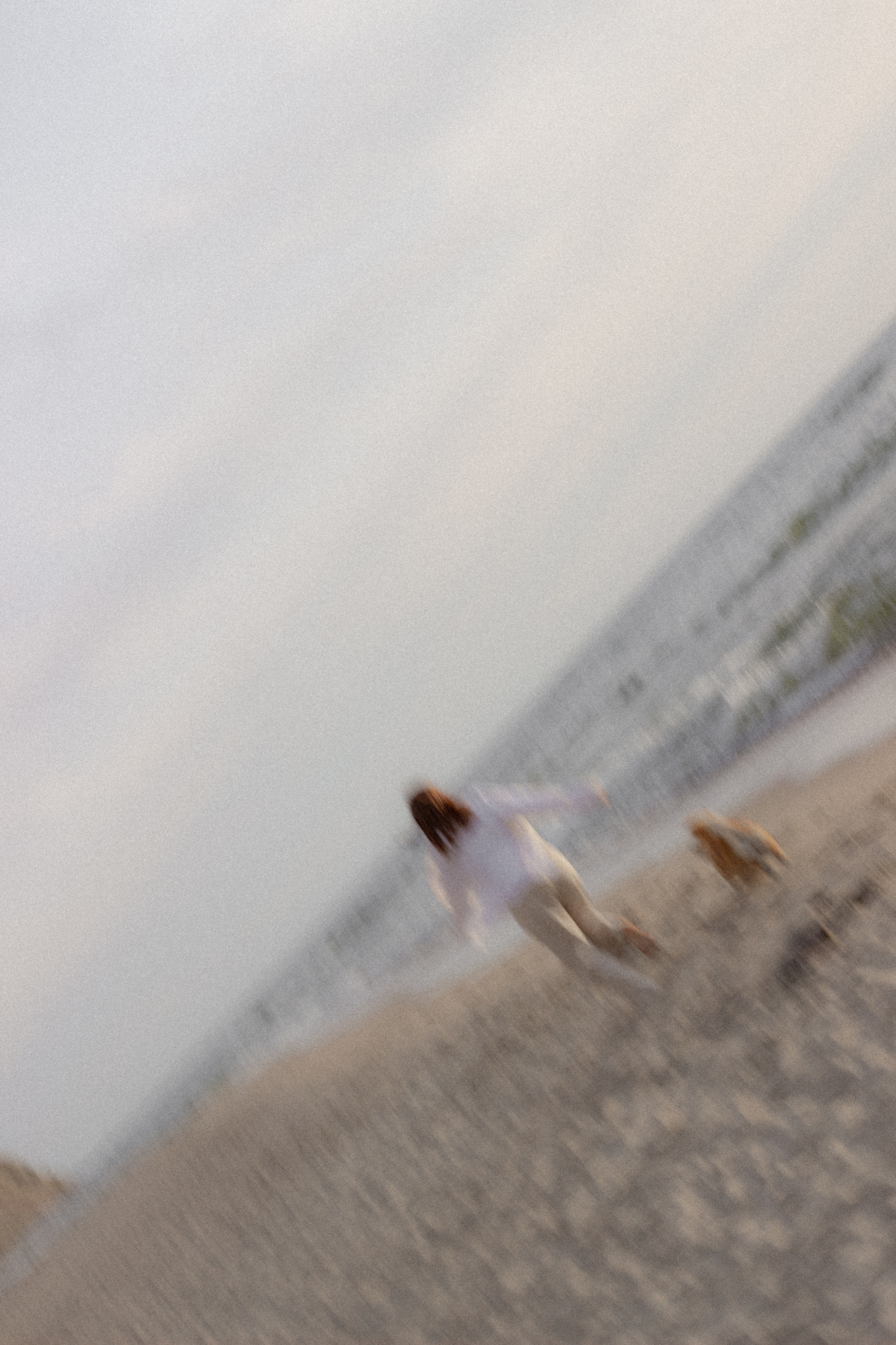 Фотосессия с собакой в Калининграде. Портретный фотограф в Калининграде Рита Холодова