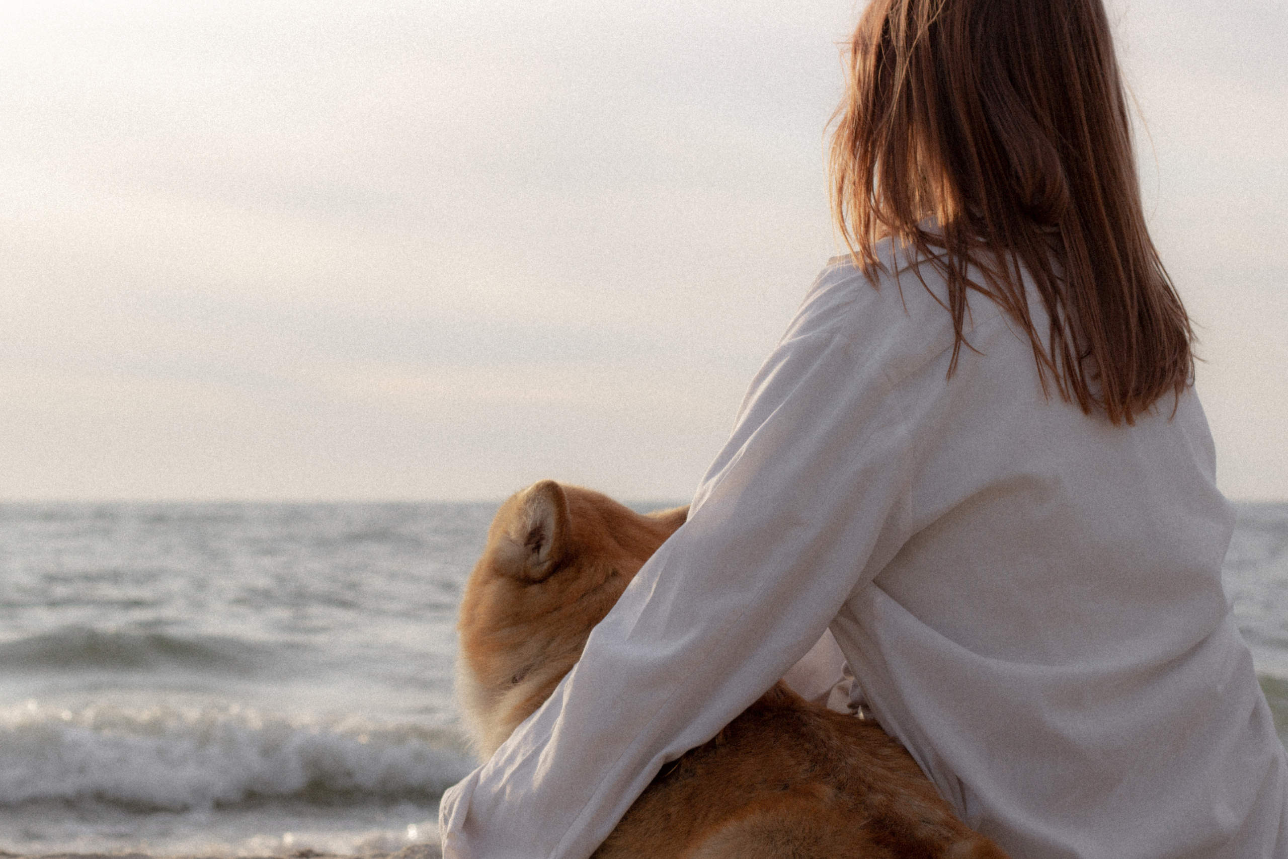 Фотосессия с собакой в Калининграде. Портретный фотограф в Калининграде Рита Холодова