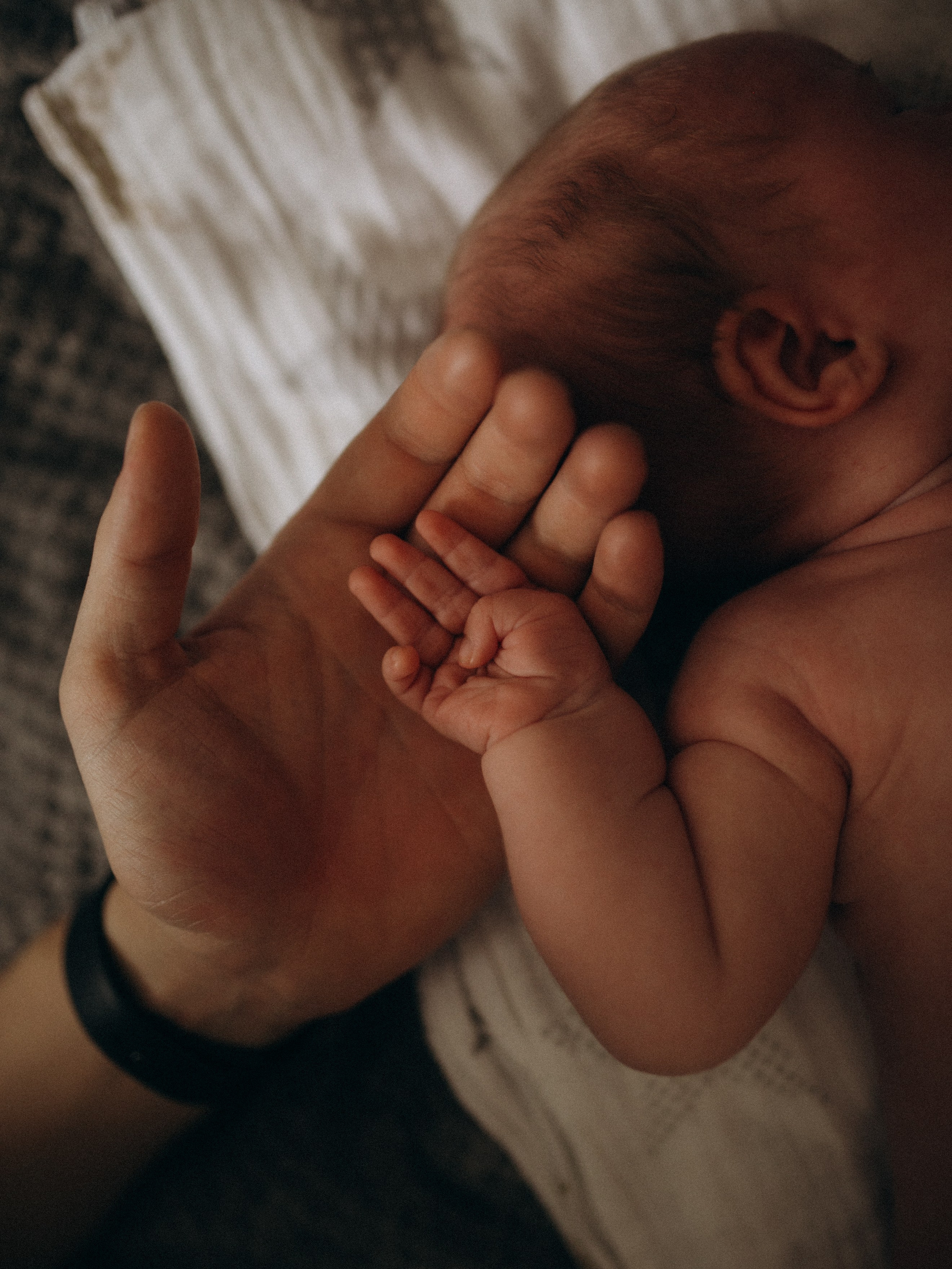Полина. Семейный фотограф в Москве и Люберцах Юлия Гуськова