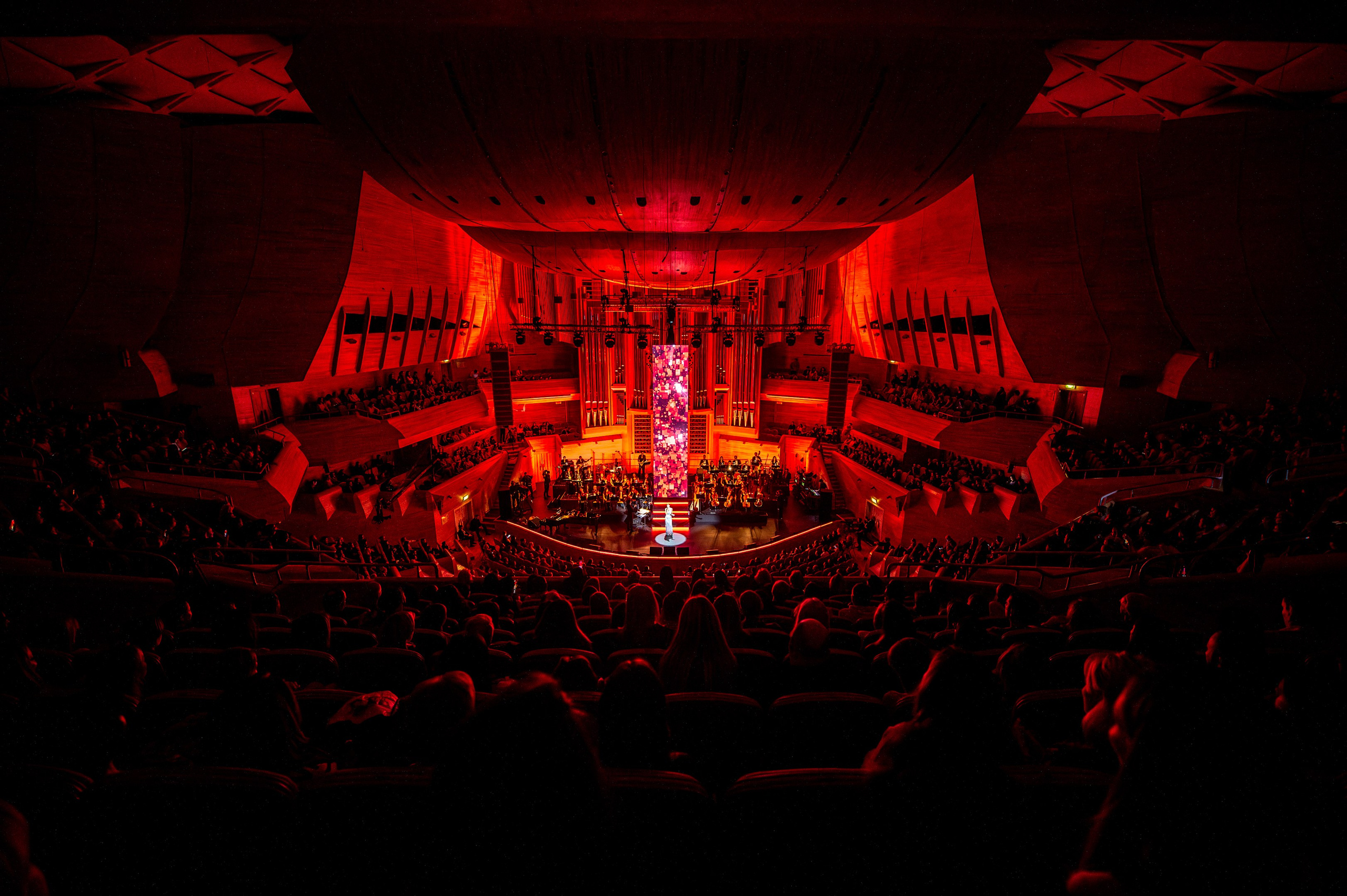 ALSOU / 2024. OOPS TEAM