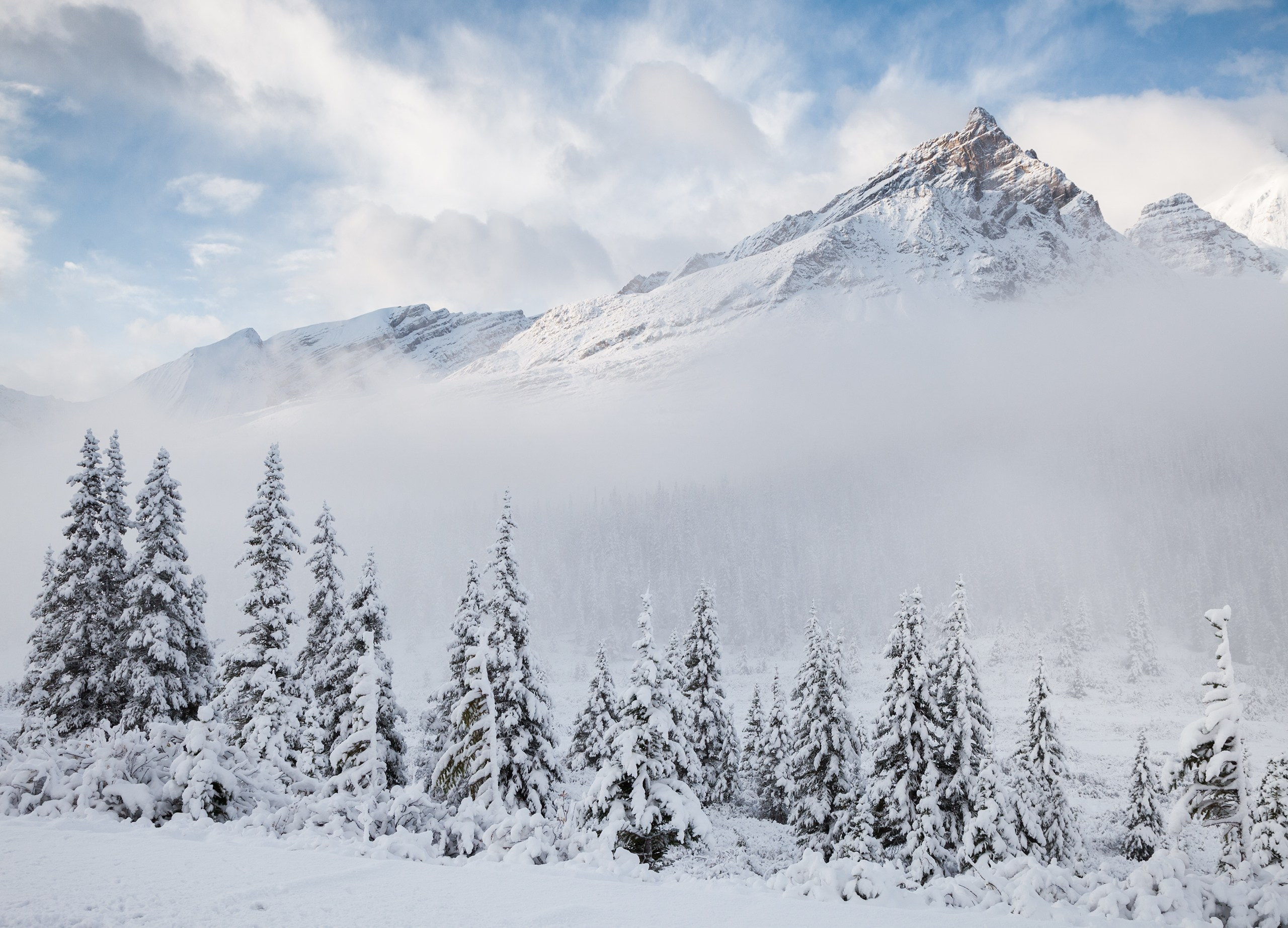 Канада. Фотограф Владимир Медведев