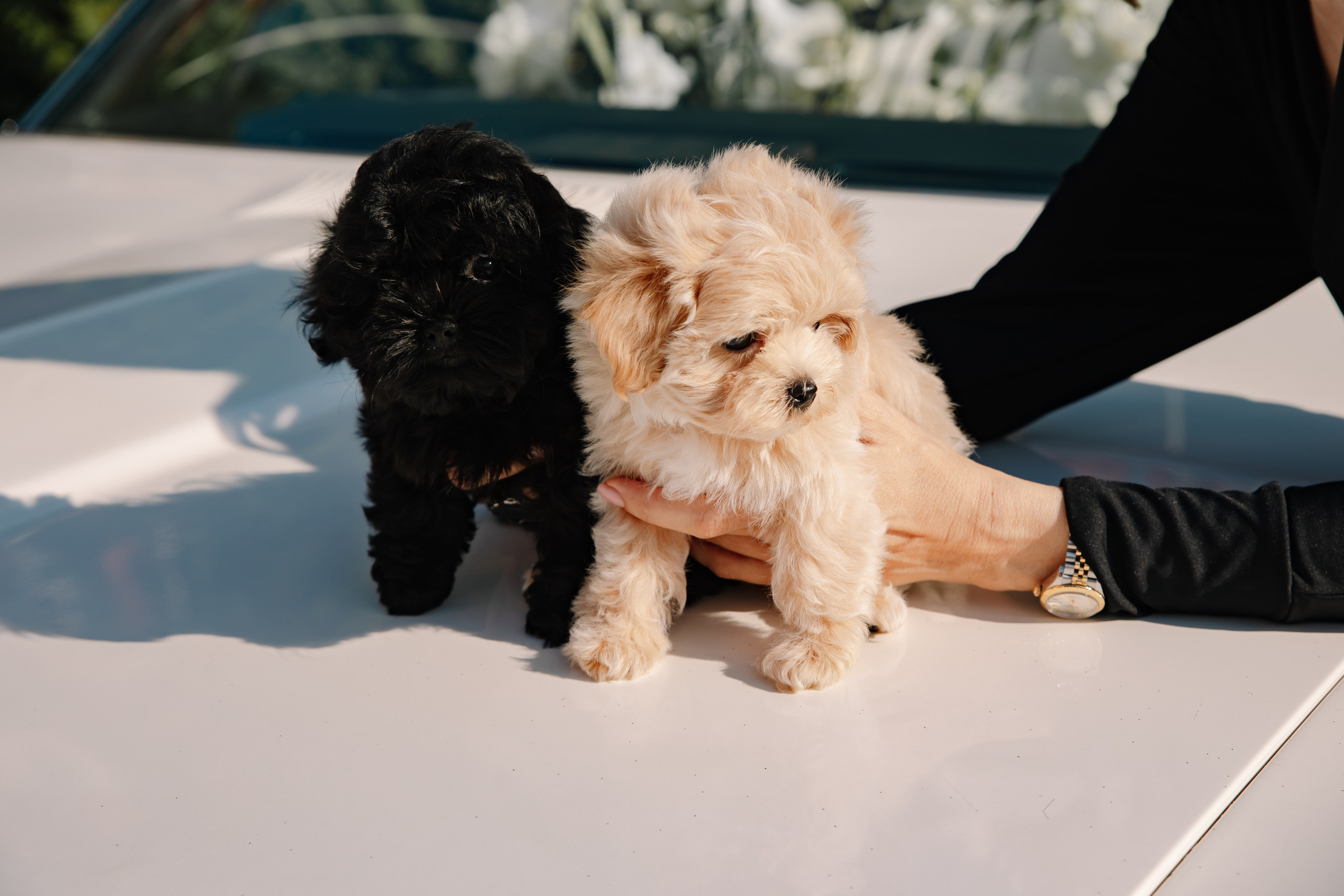 AESTHETIC ONLY в Петровском путевом дворце. Фотограф в Москве Яна Полосина