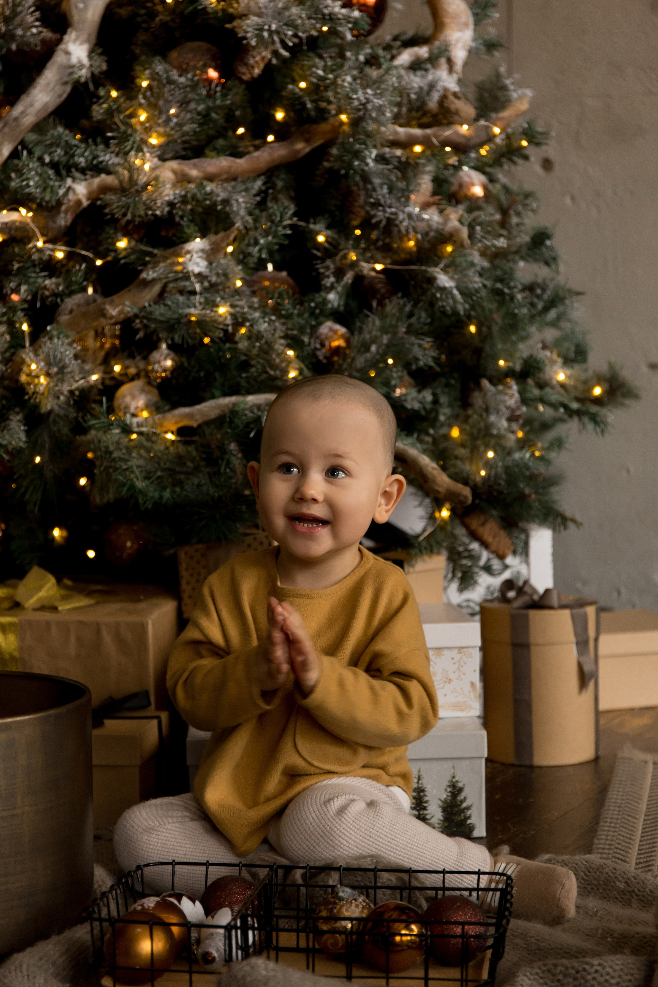 Сергей, Кристина и Ярослав новогодняя. Свадебный и семейный фотограф Марина Злочевская