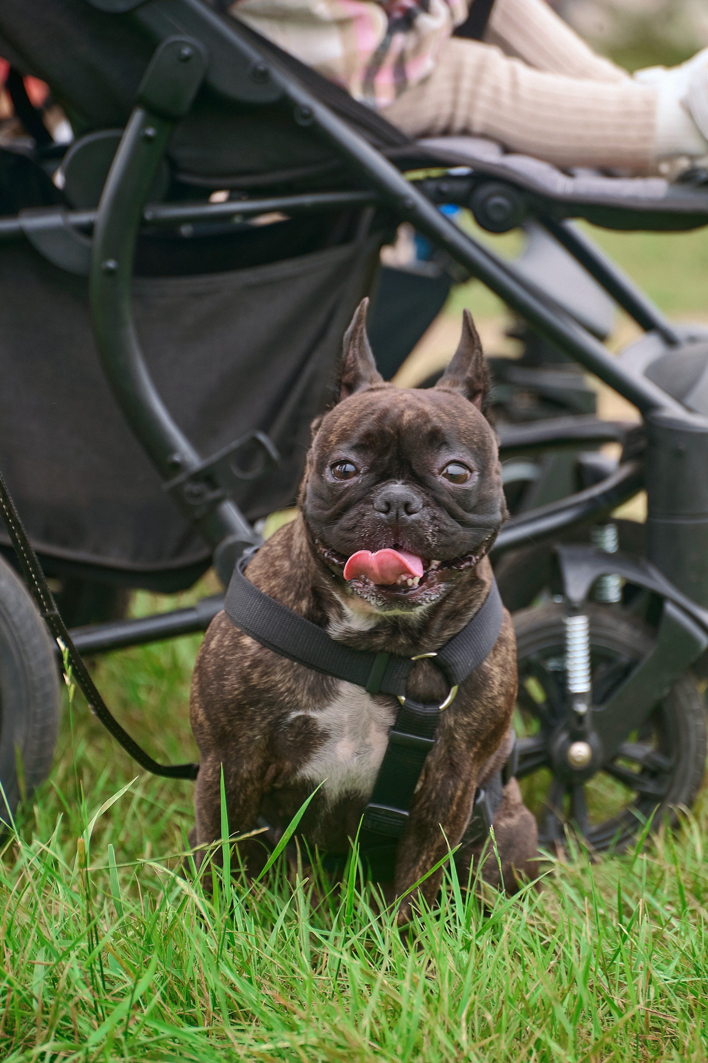 Портфолио репортажной фотосъёмки: эко-фестиваль "Калина-Малина". Фотограф Яковлев Роман — Красноярск