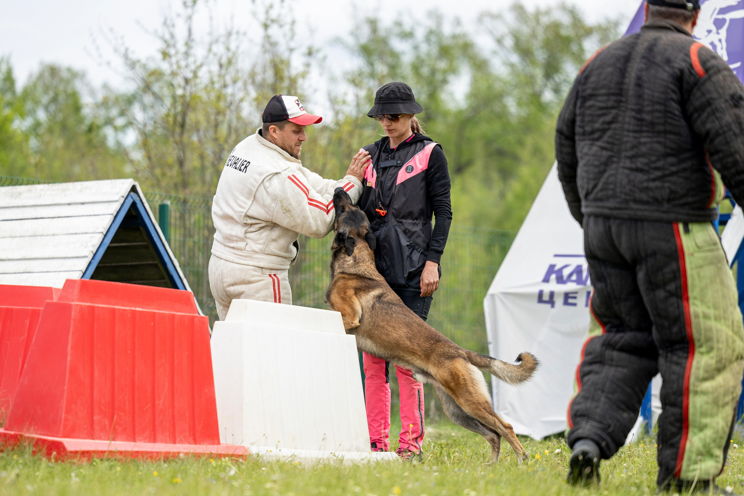 Испытания по мондьорингу в Нижнем Новгороде. Фотограф-анималист Анна Маринич