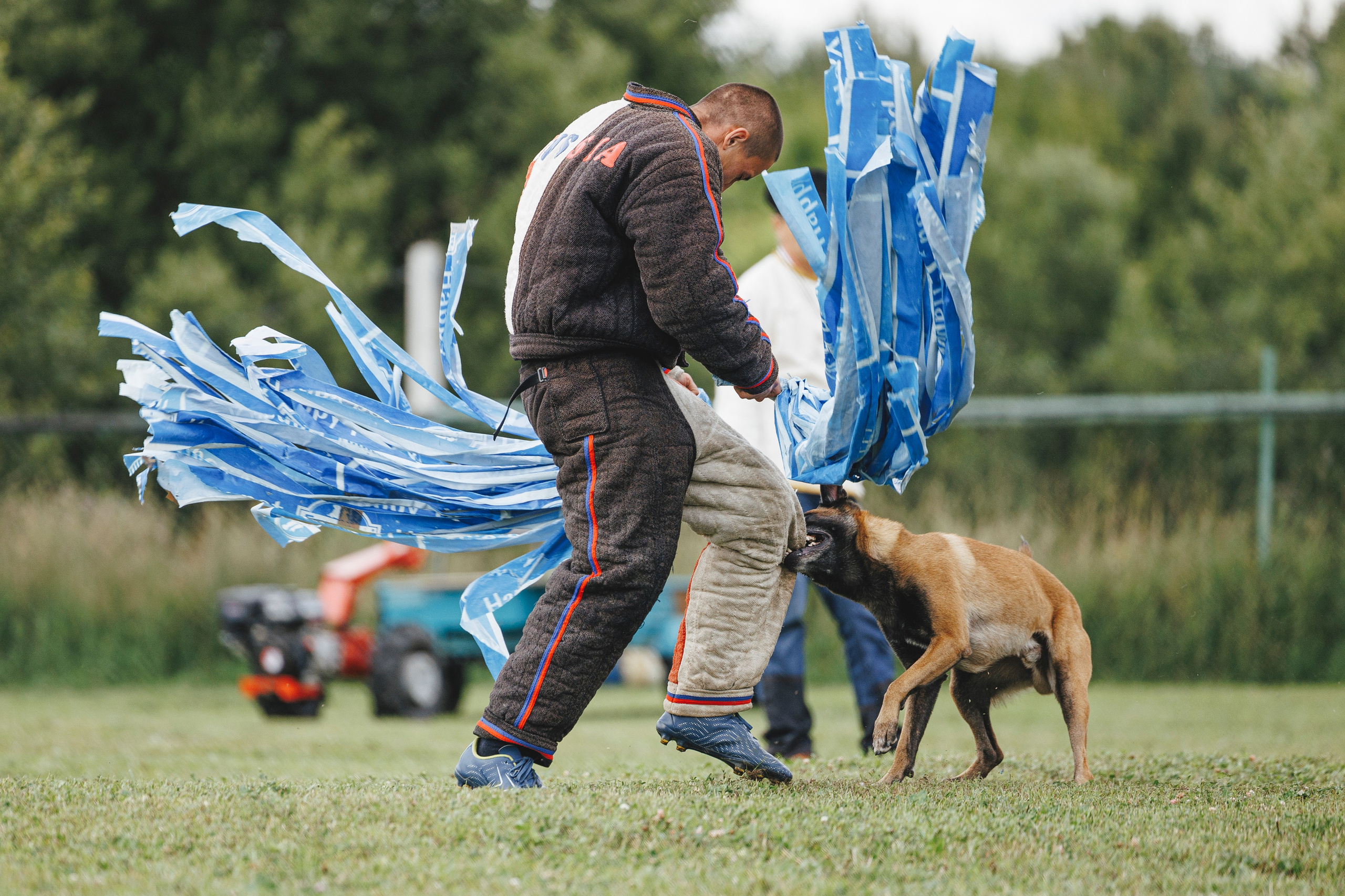 08.08.25-10.08.25 ЧР по мондьорингу г. Вологда. Фотограф-анималист Анна Маринич