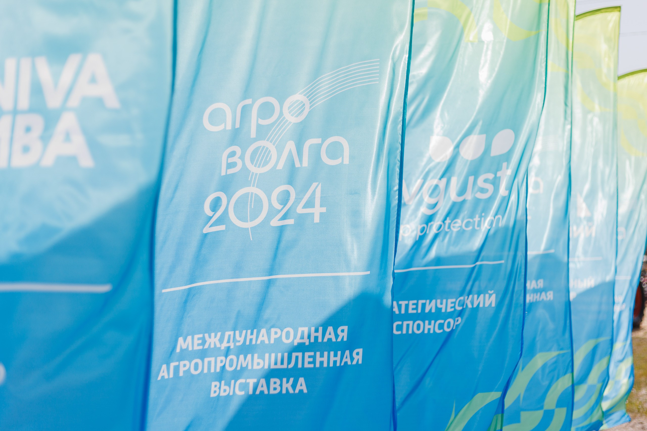 Репортаж. Профессиональный фотограф Дмитрий Чирков