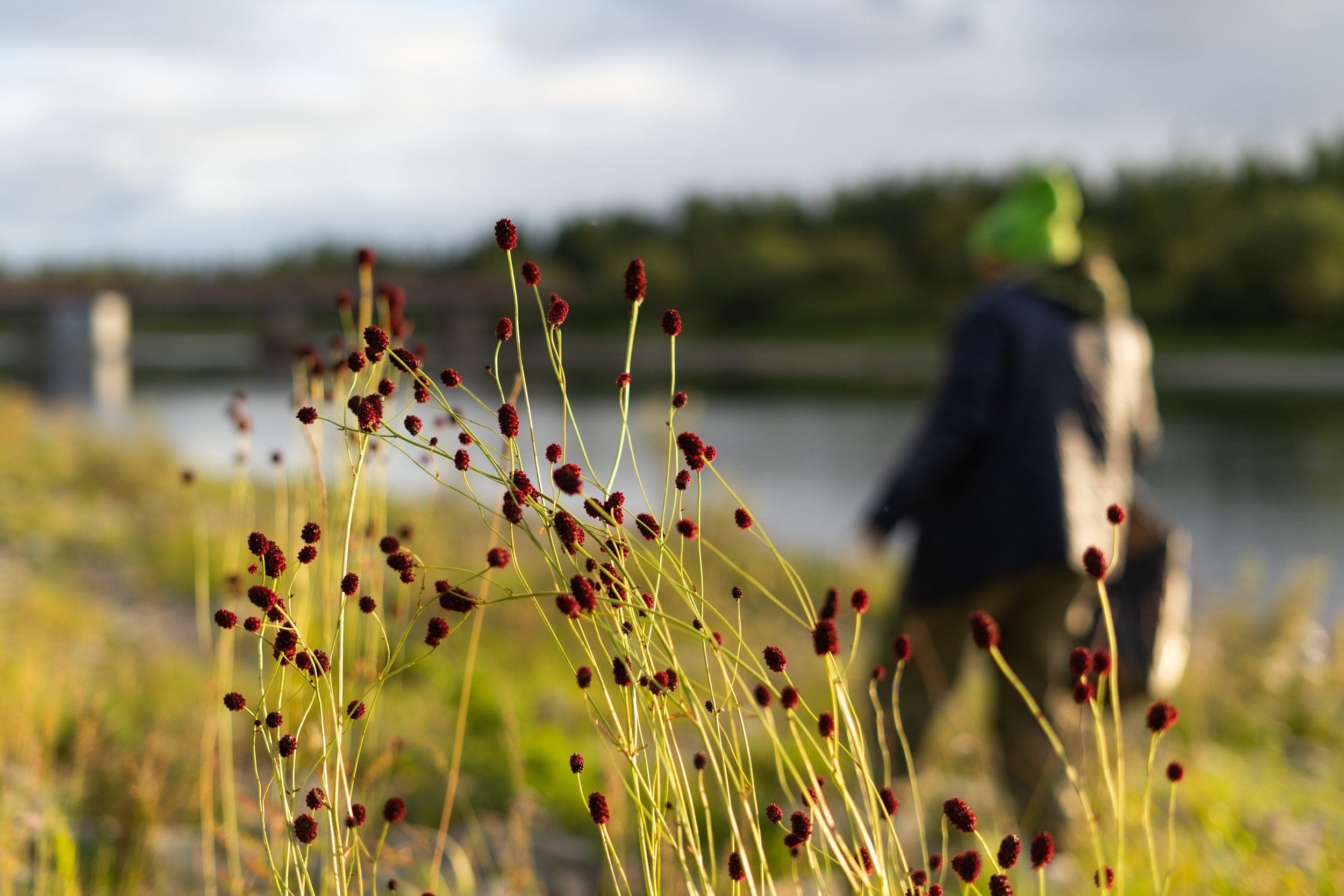 Музыкальная экоакция «Чистая Собь» 08.24. Фотограф Екатерина Зорина