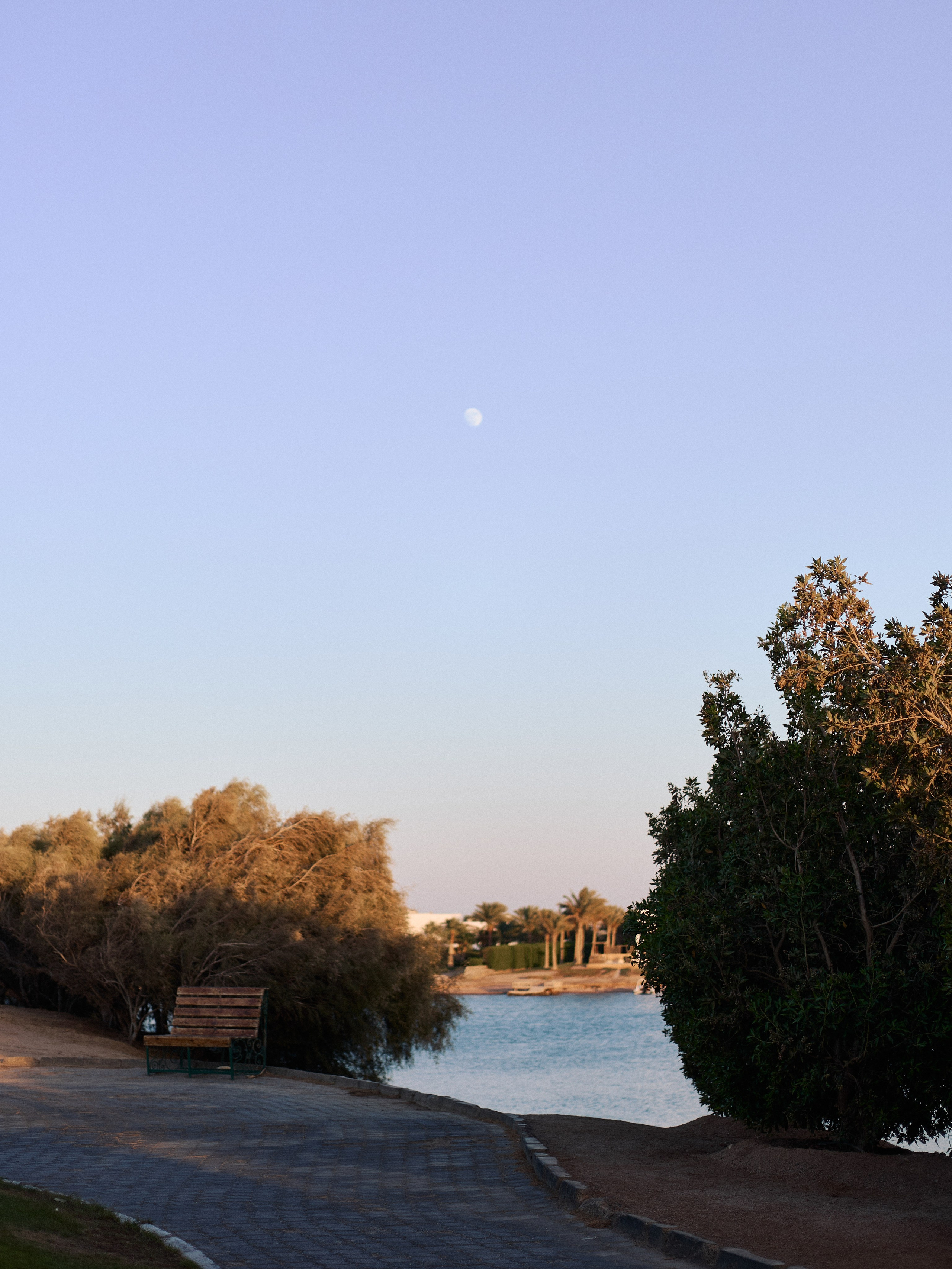 Другое 3. Jorgis Talè — photographer, kind person, teacher of arts and other mag