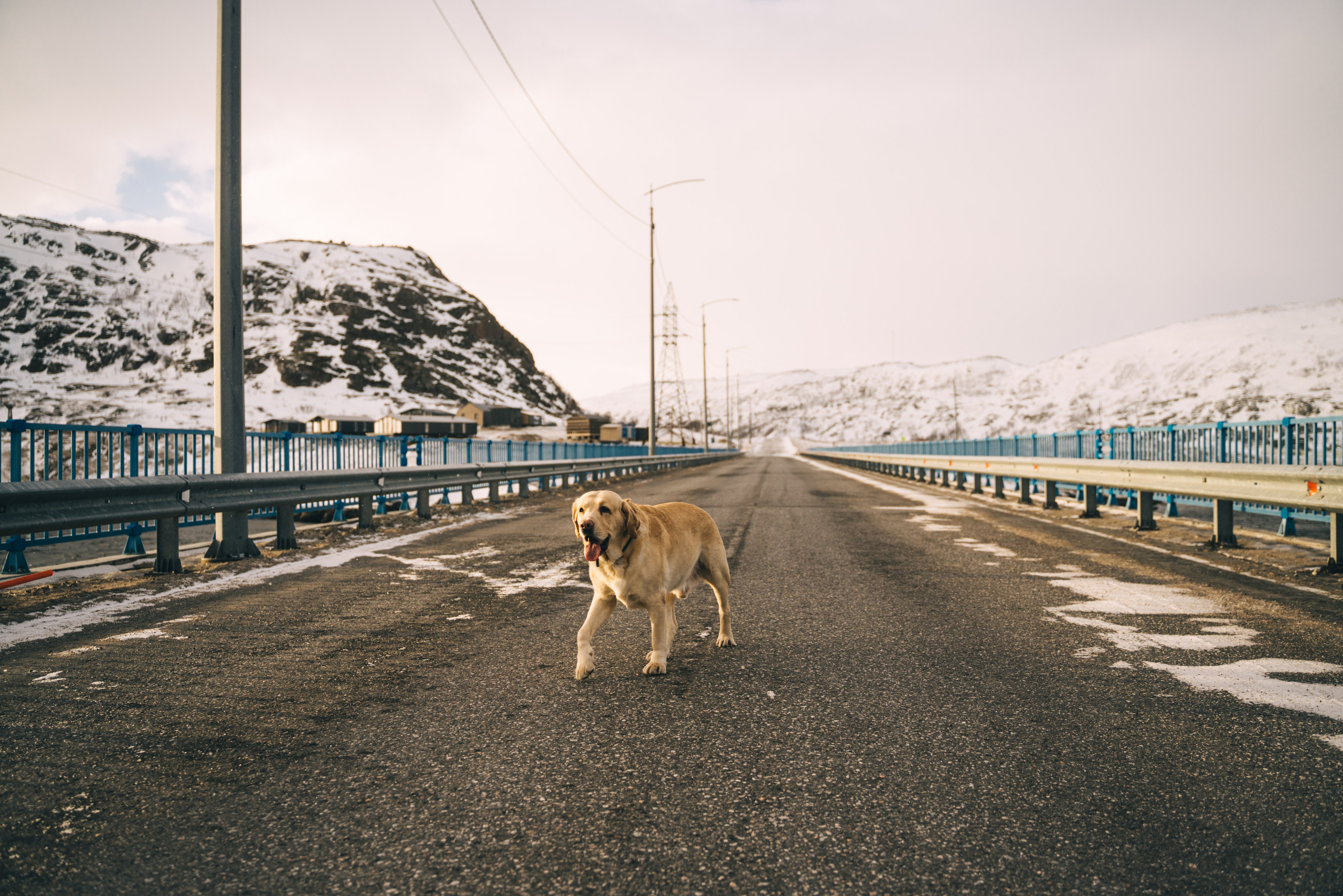 Териберка. Семейный фотограф в Санкт-Петербурге