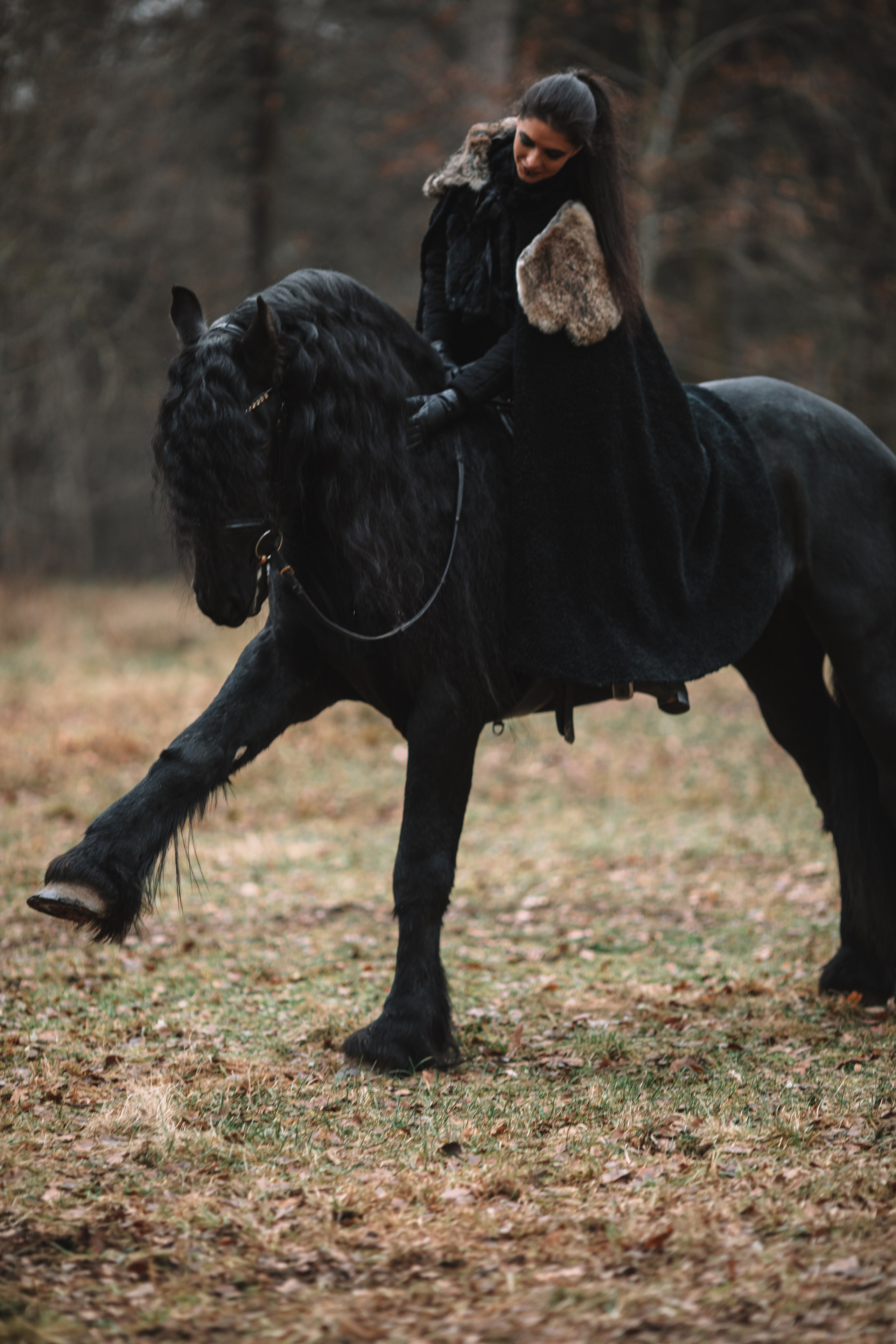 Наташа с фризом в костюме викинга. Фотосессии с лошадьми
