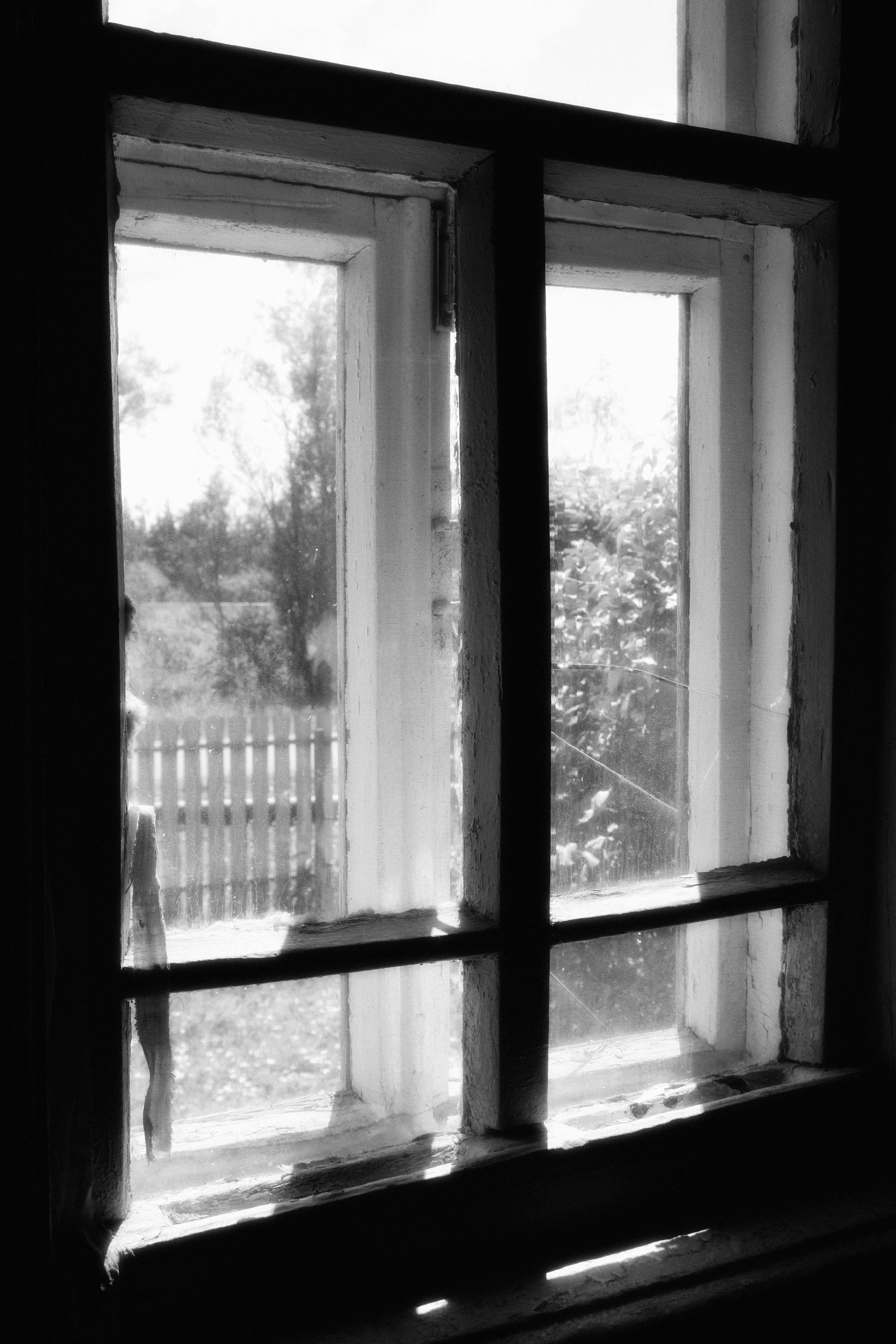 The short meter «that woman». ANNA — PHOTOGRAPHER