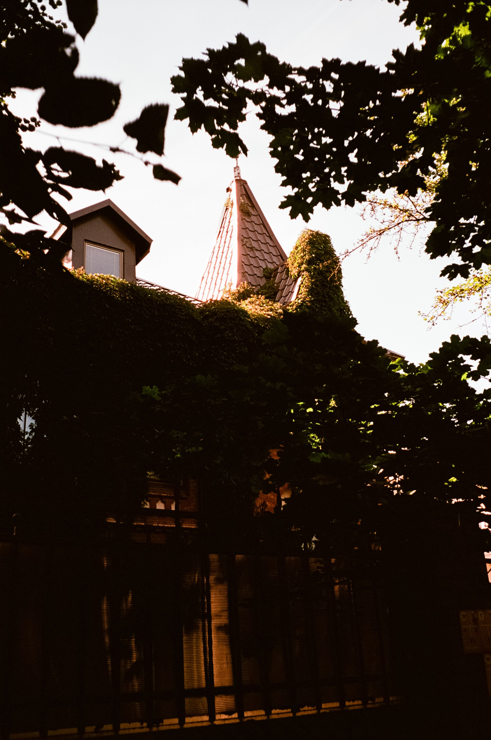 12–13 июля Калининград / Minox 35 GT (2) / Kodak Aeronega 100 (Kodak Aerocolor IV)