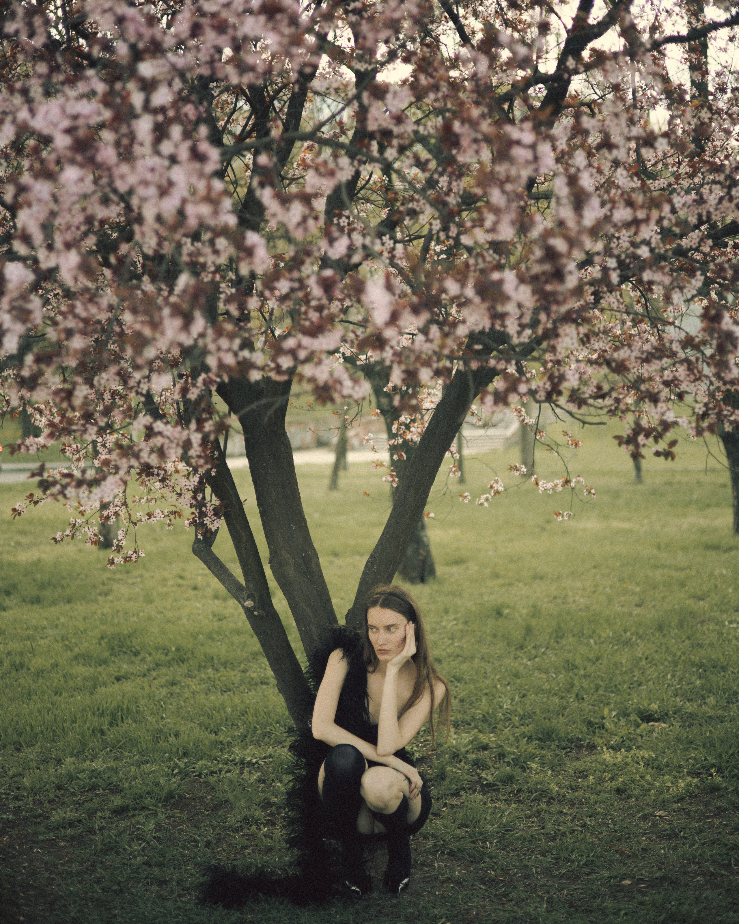 Девушки. Male photographer