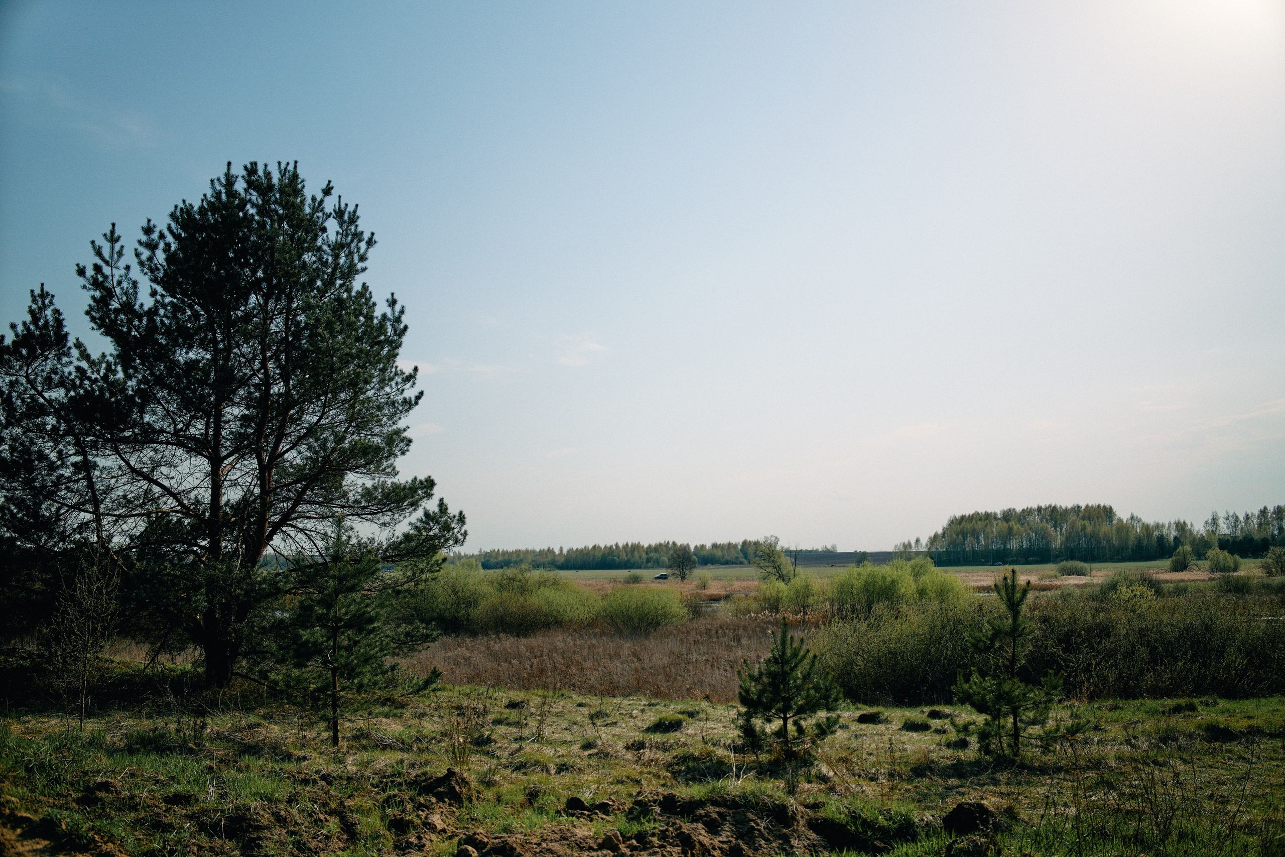 Бутик-отель Поле летом. Профессиональный Фотограф во Владимире, в Москве и в Суздале — Полина Романычева